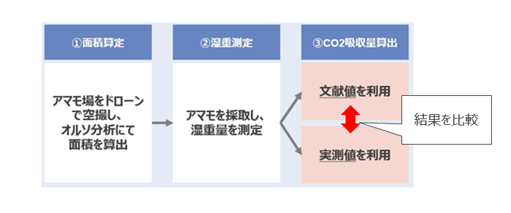 実証事業の進め方