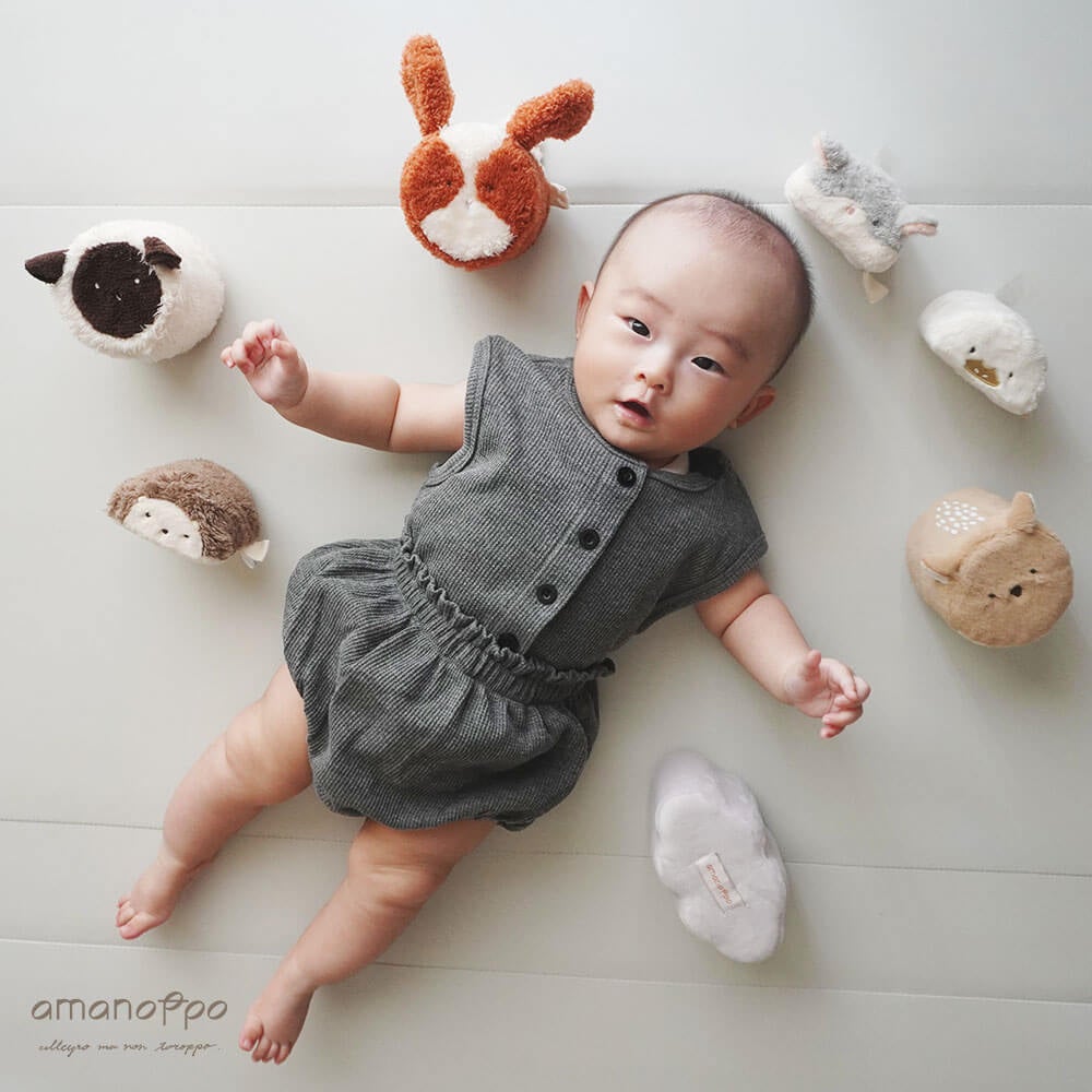 amanoppoから『もちふわブロック ふわふわ＋ 森の新しいおともだち