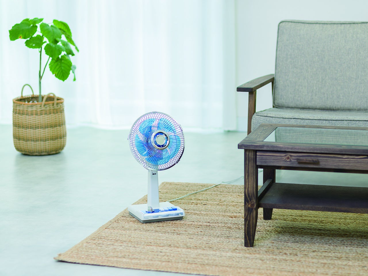 足元にもおすすめ