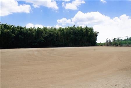 ※引用 合志市公式サイト www.city.koshi.lg.jp