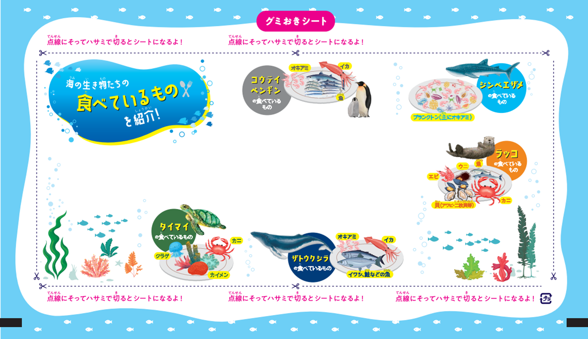 パッケージ（中巻きシート）イメージ