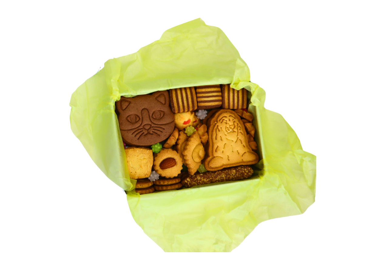 期間限定パッケージ】猫たちの夏旅行をテーマにした日本橋三越本店