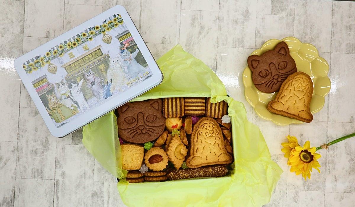 期間限定パッケージ】猫たちの夏旅行をテーマにした日本橋三越本店 期間限定パッケージ】猫たちの夏旅行をテーマにした日本橋三越本店