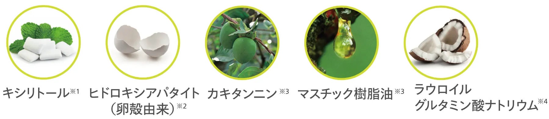 ※1香味剤として※2研磨剤として※3湿潤剤として※4ラウロイルグルタミン酸Na・起泡剤として