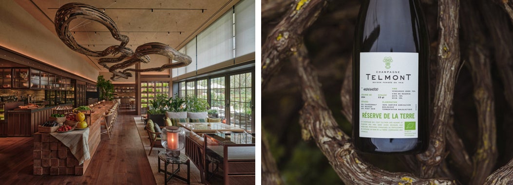 「パティーナ大阪 × テルモン Sustainable Champagne Dinner」地球を想うコラボレーションを祝す一夜限りのディナーイベント開催