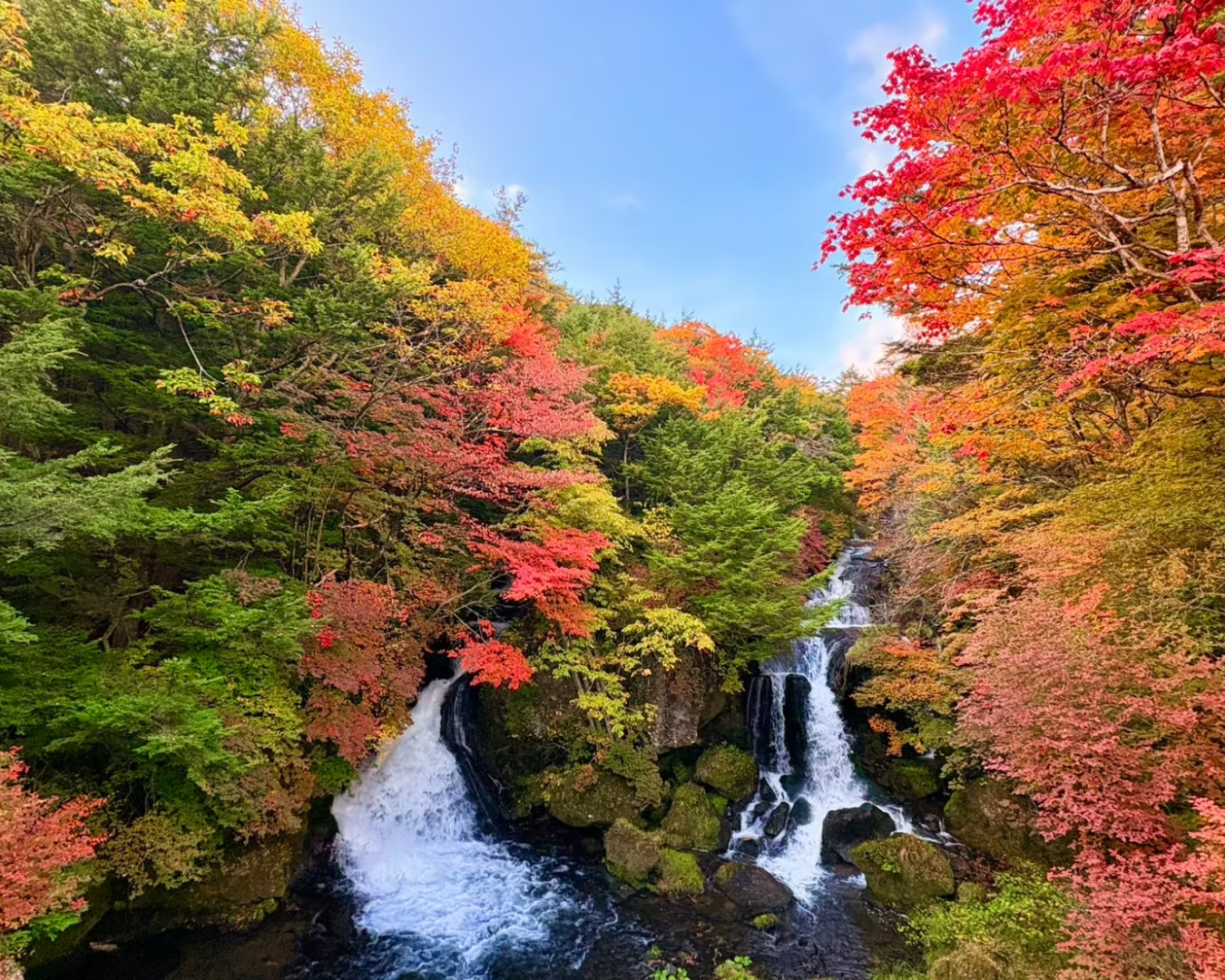 【日光市渋滞回避情報】紅葉時期の日光で渋滞対策を推進し、エコで快適な観光の標準化を目指します