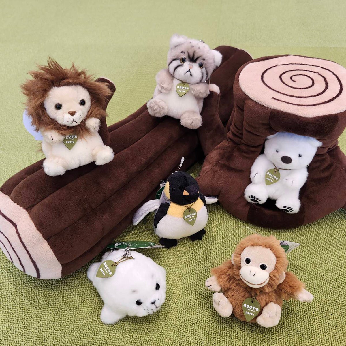 100セット限定】旭山動物園の人気者が“むぎゅっ”と詰まったギフトBOXに