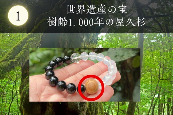 日本の世界遺産シリーズ第1弾】樹齢1,000年の屋久杉 × 漆黒の守護石 日本の世界遺産シリーズ第1弾】樹齢1,000年の屋久杉 × 漆黒の守護石