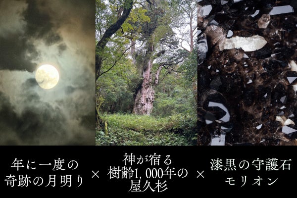 日本の世界遺産シリーズ第1弾】樹齢1,000年の屋久杉 × 漆黒の守護石 日本の世界遺産シリーズ第1弾】樹齢1,000年の屋久杉 × 漆黒の守護石
