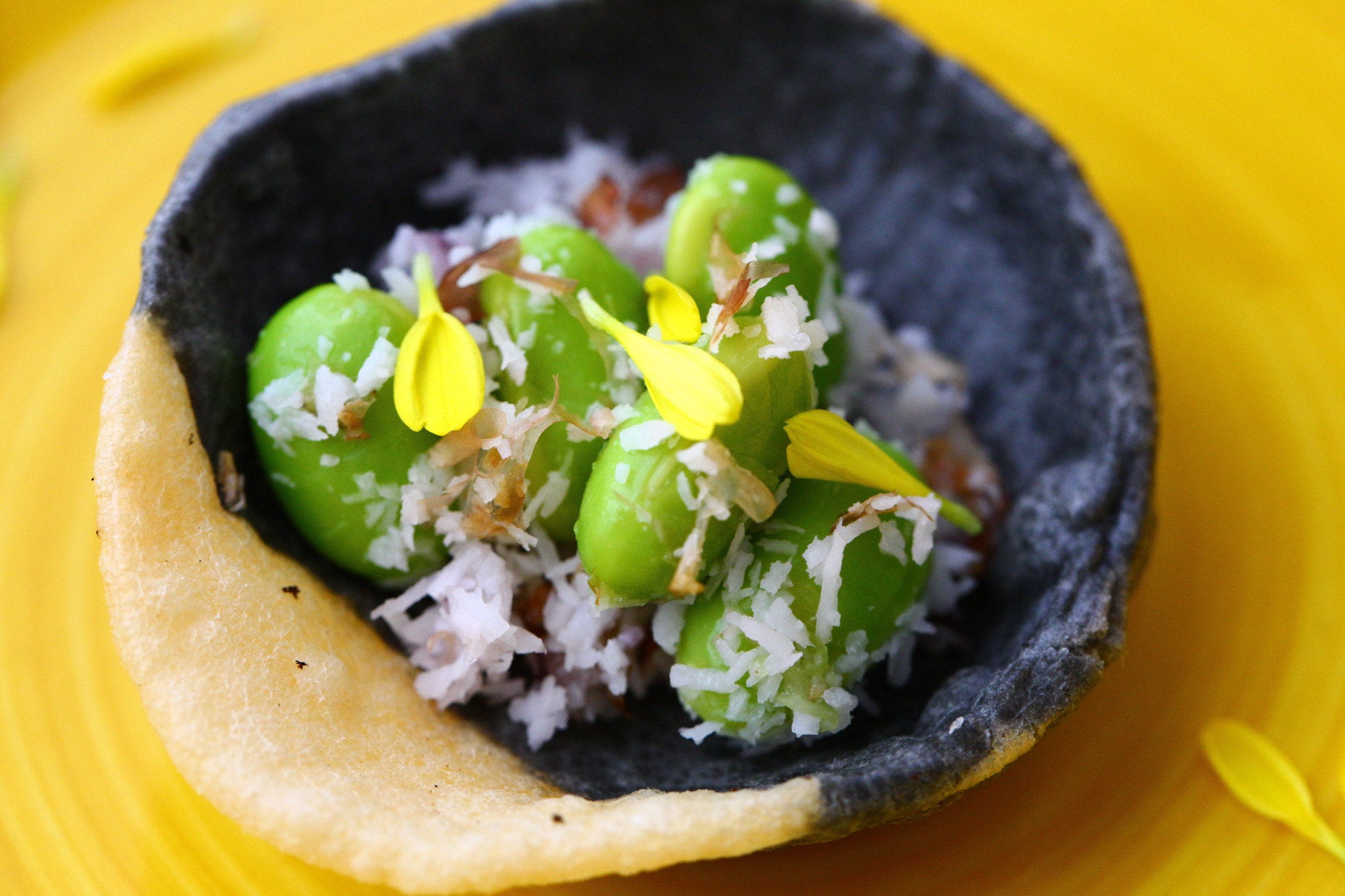 八尾市農業啓発推進協議会 八尾枝豆 【八尾枝豆のココナッツまぶし スナック】