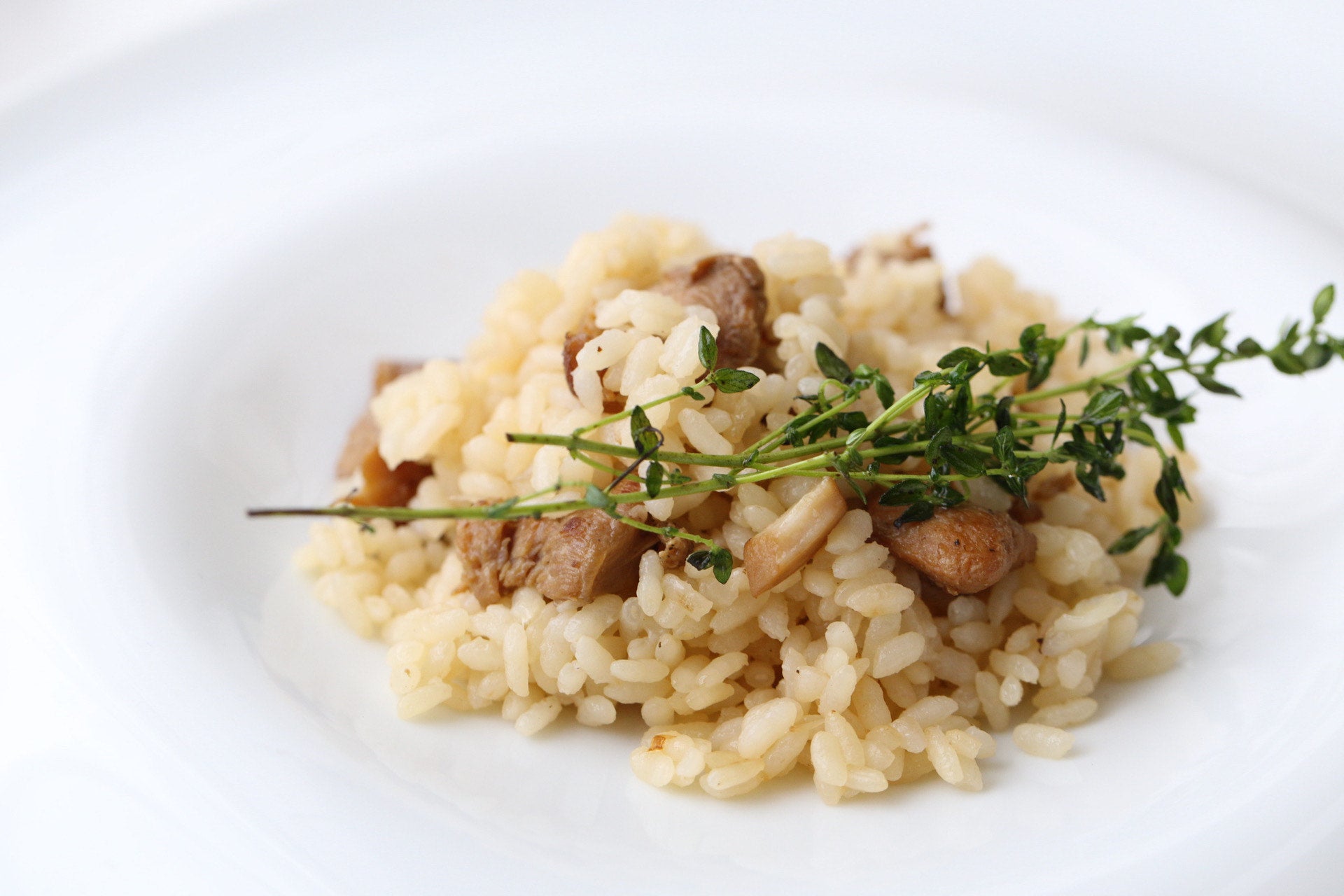 SilverBack うさぎ肉 【ハーブ香る洋風うさぎ飯】