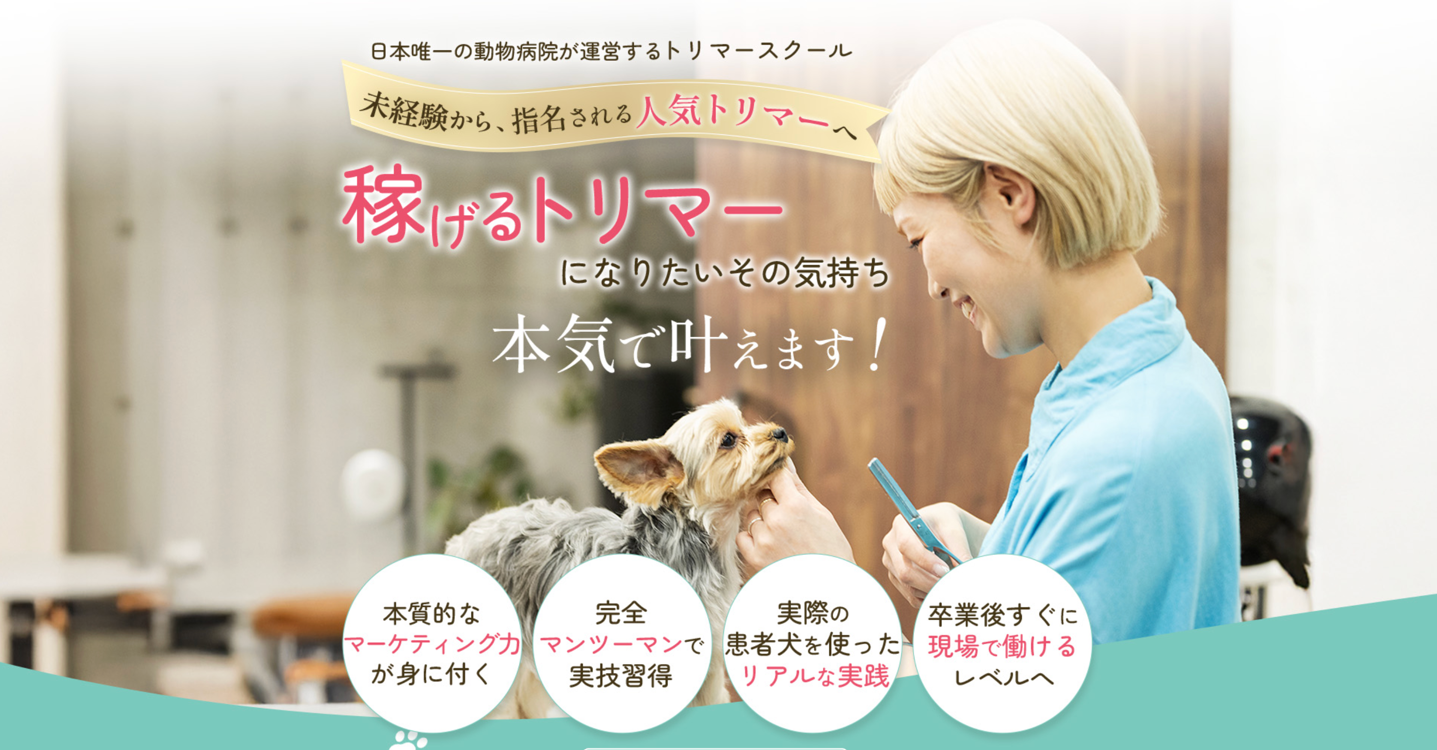 川崎市登戸で動物病院が運営するトリマー養成スクールを発足