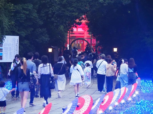 【開催報告】「和傘の杜 ~彩の七夕2026~」埼玉・氷川神社参道を110本の和傘と2.5万灯のLEDで彩った4日間のイベントに過去最多約45,000人が来場 【開催報告】「和傘の杜 ~彩の七夕2026~」埼玉・氷川神社参道を110本の和傘と2.5万灯のLEDで彩った4日間のイベントに過去最多約45,000人が来場