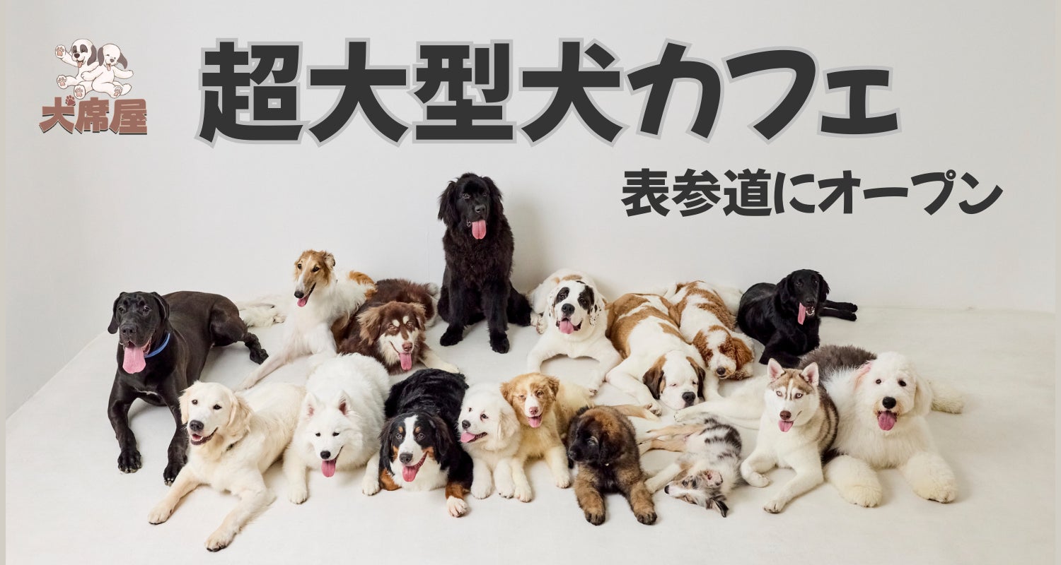 大型 犬 カフェ