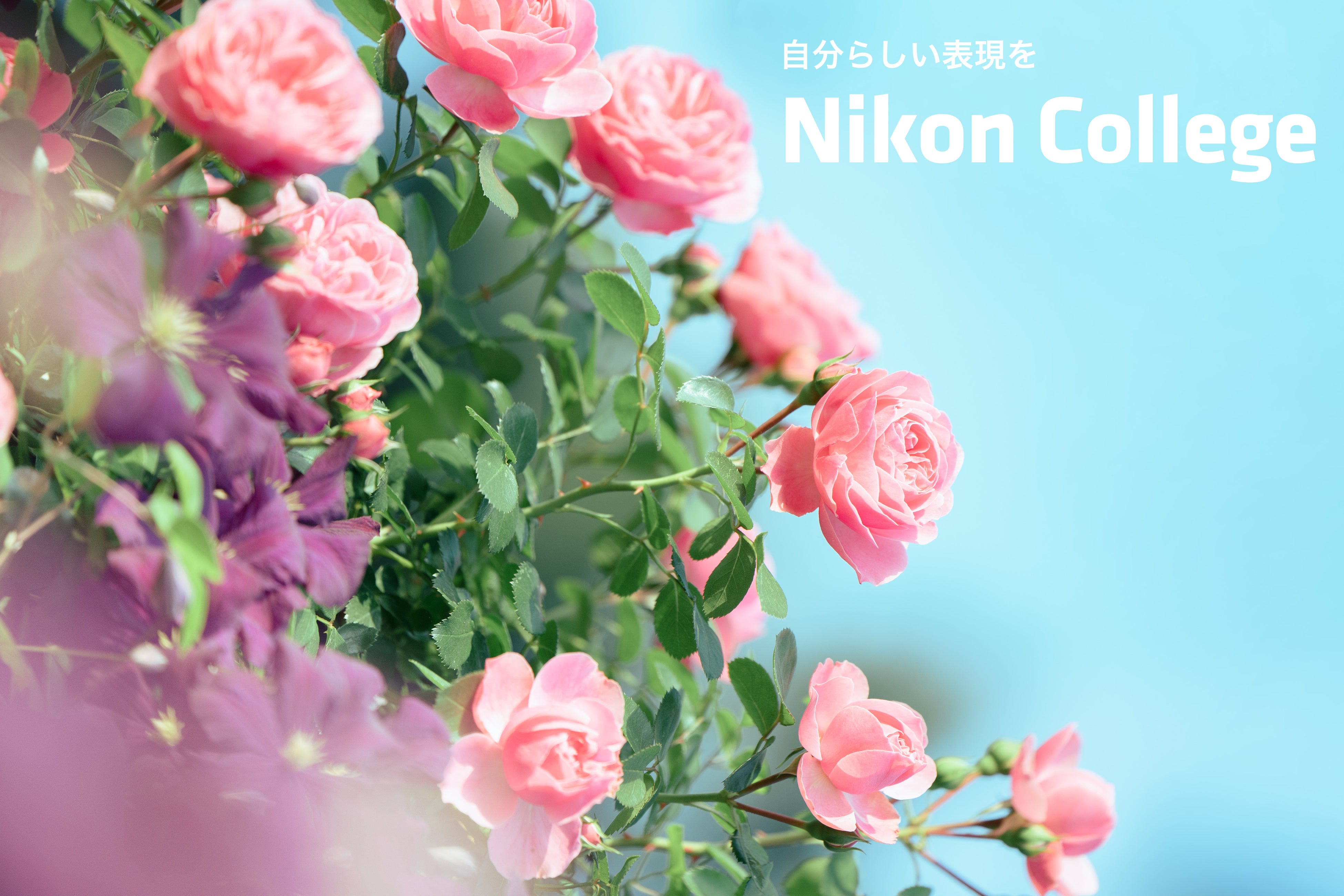 写真教室「ニコン カレッジ」 2026年4月～6月期の講座を公開