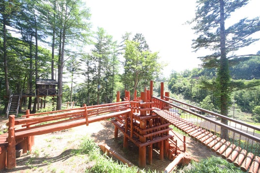 高原のアスレチックがリニューアルオープン 高原のアスレチックがリニューアルオープン