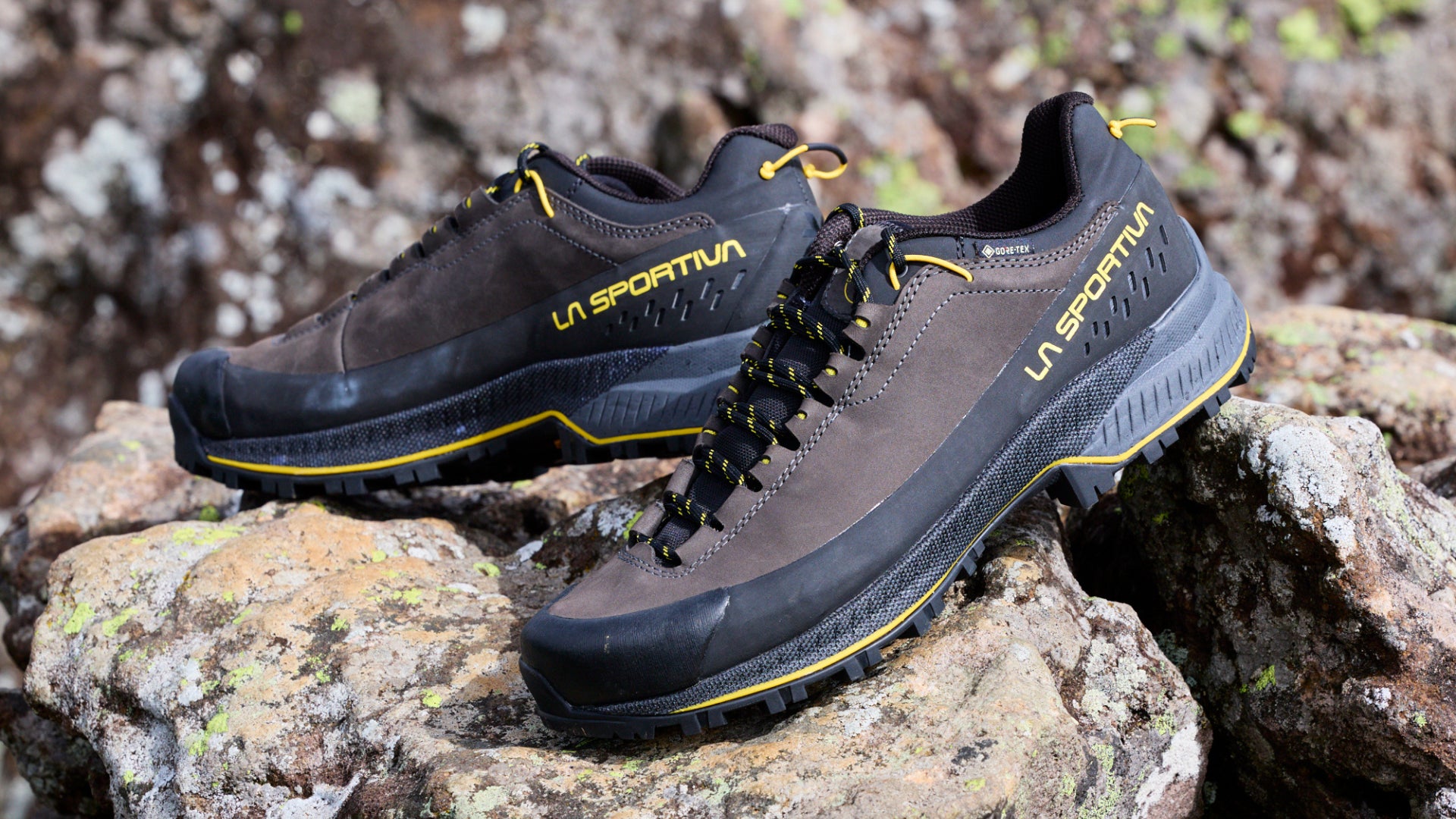 LA SPORTIVA、主力モデル「TX5」が進化「TX5 EVO GTX®」4月24日発売 LA SPORTIVA、主力モデル「TX5」が進化「TX5 EVO GTX®」4月24日発売
