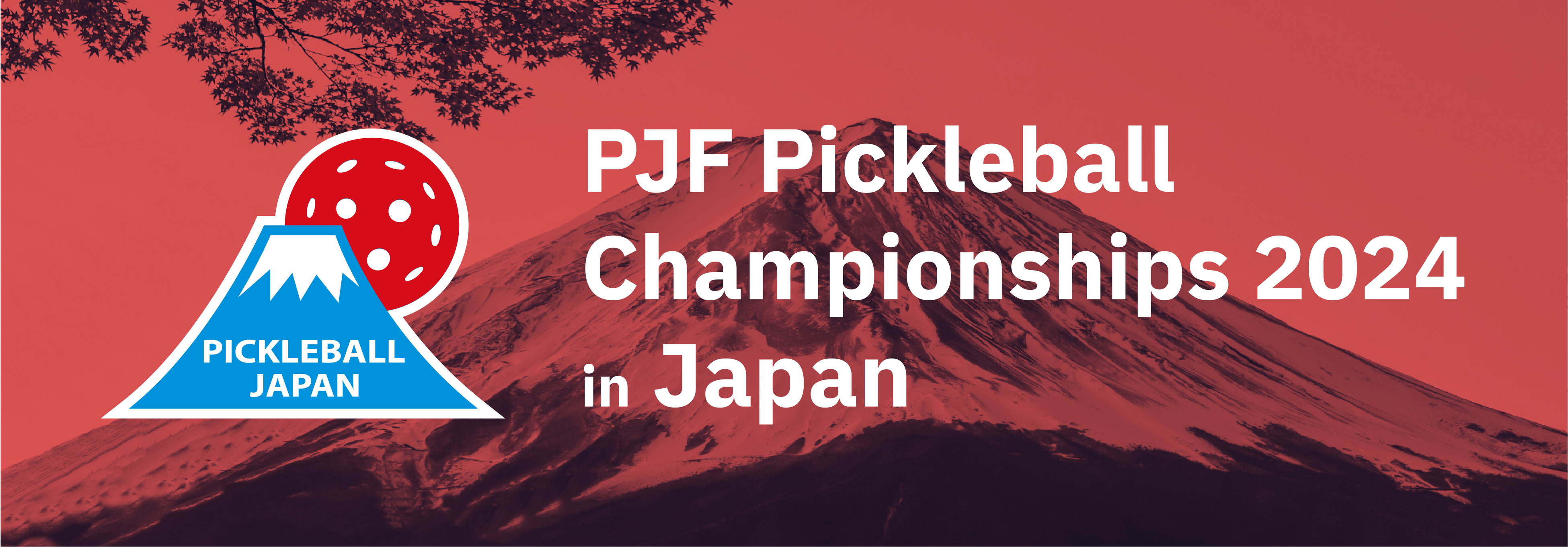 PJF Pickleball Championships 2024」協賛のお知らせ | 株式会社