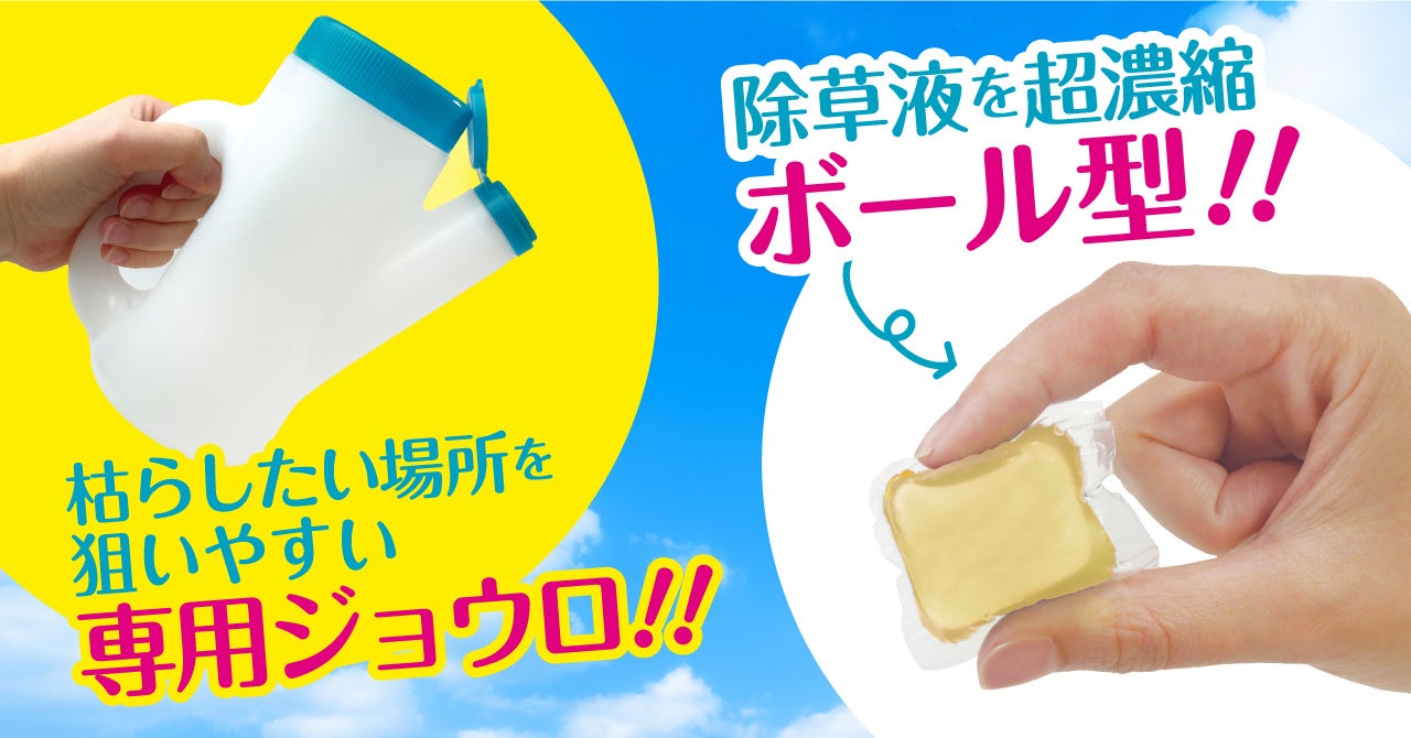 印刷用高解像度版