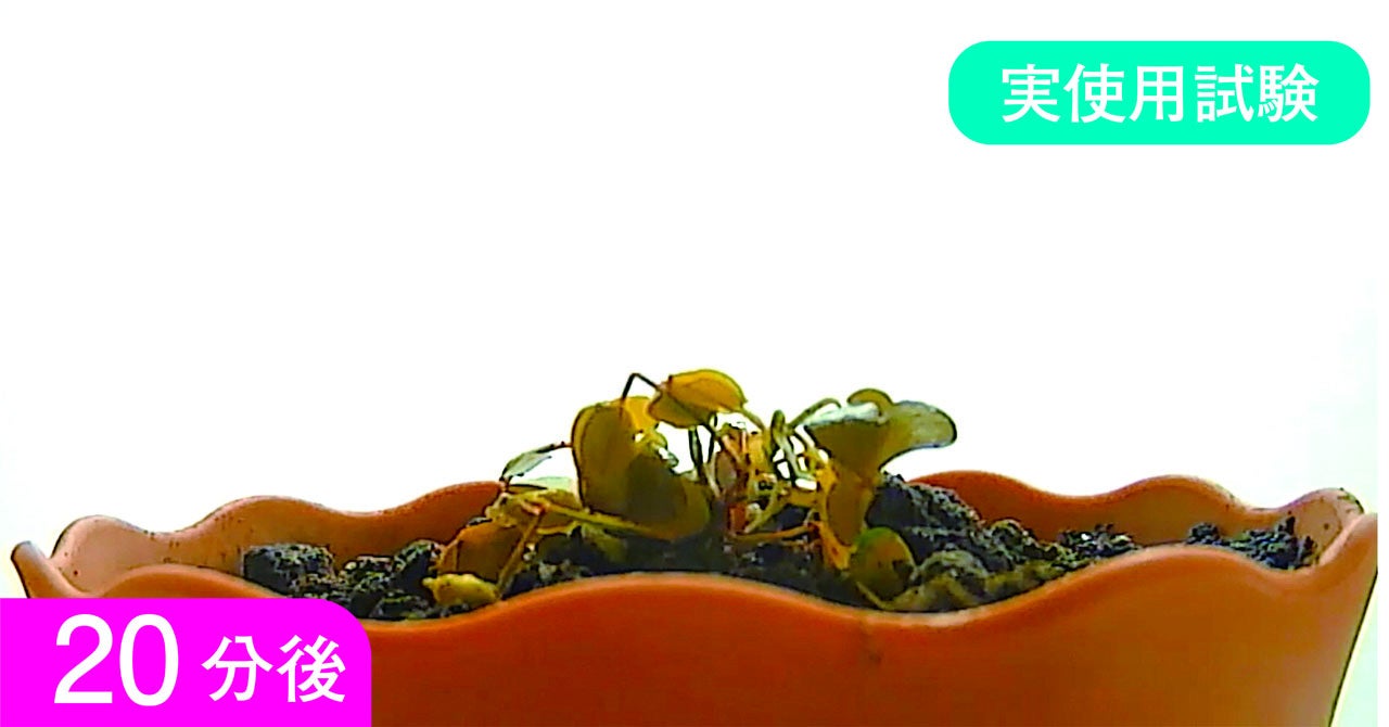 印刷用高解像度版