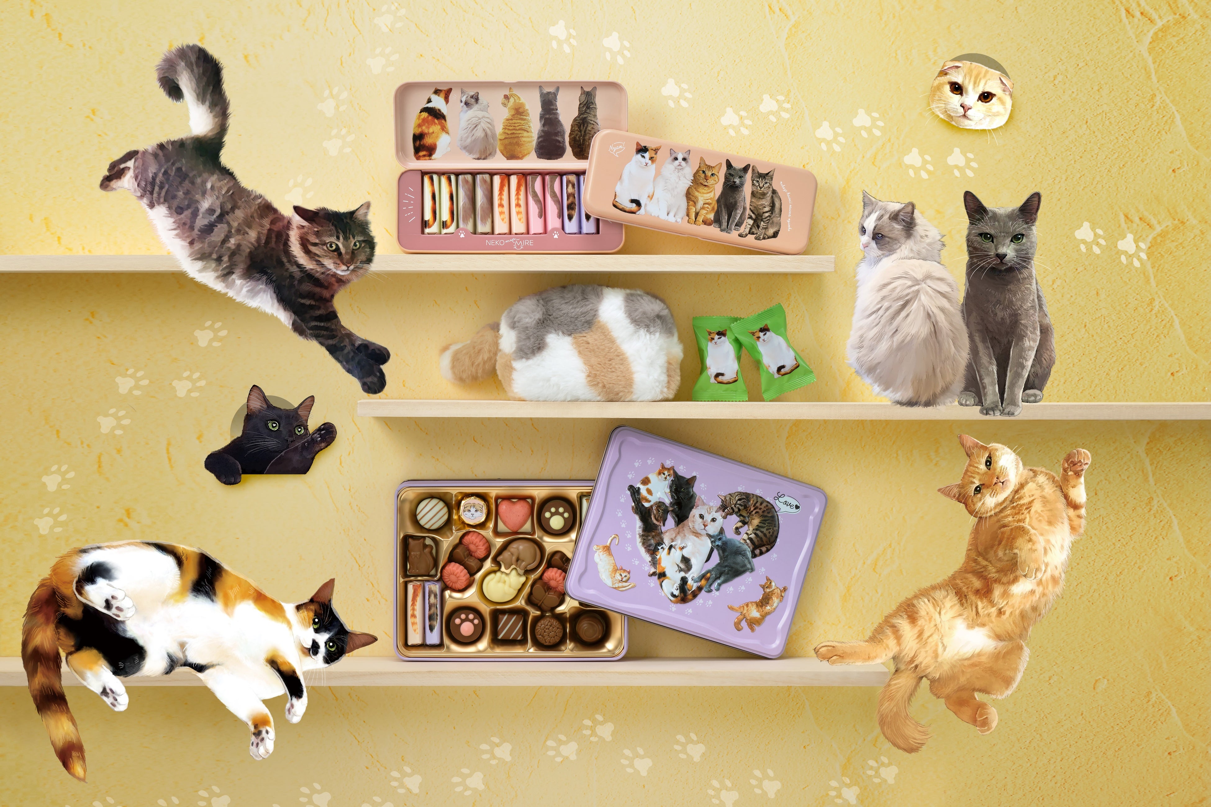 2026年メリーチョコレートバレンタイン 猫好き必見！愛おしい仕草や