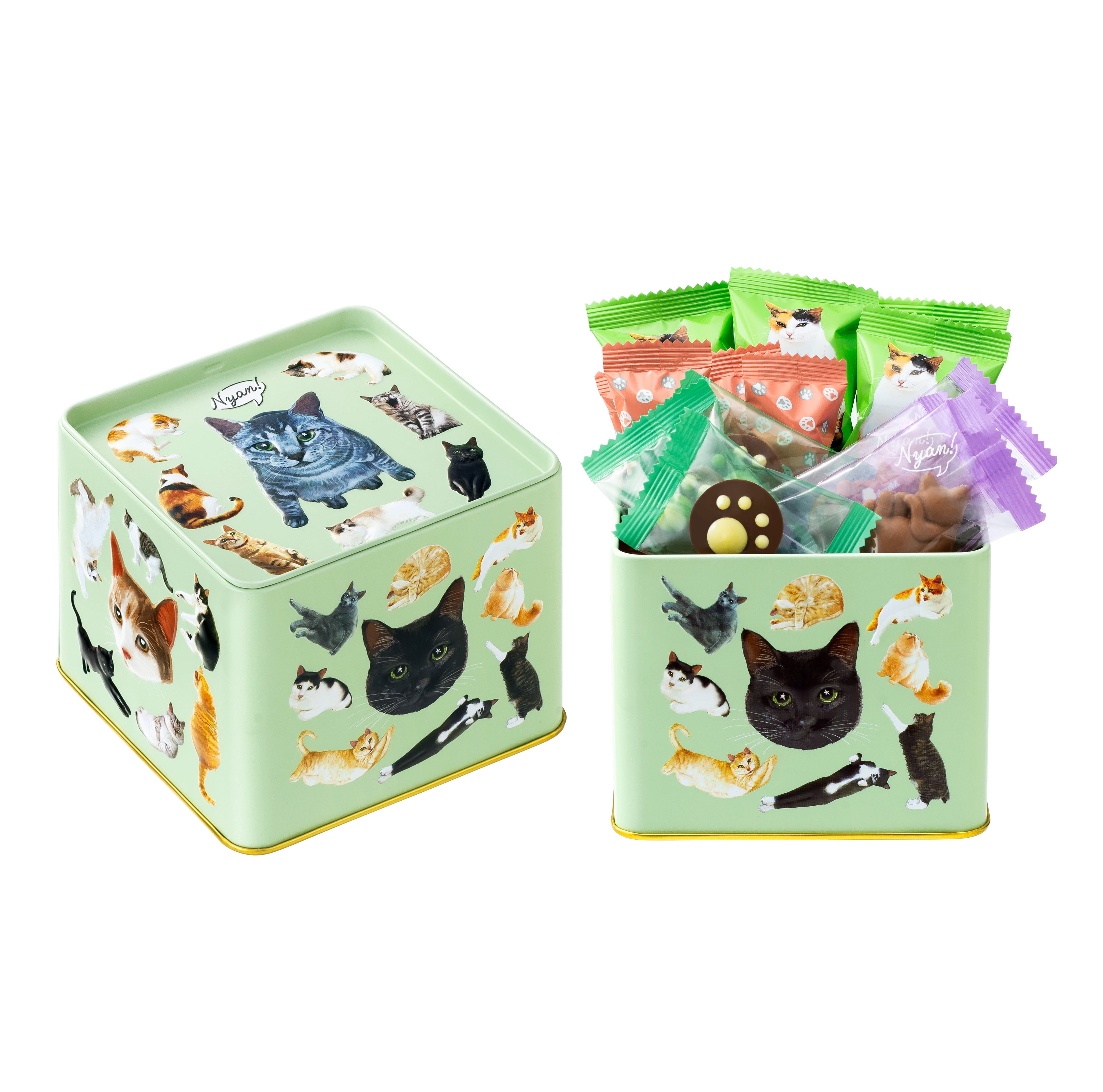 2026年メリーチョコレートバレンタイン 猫好き必見！愛おしい仕草や