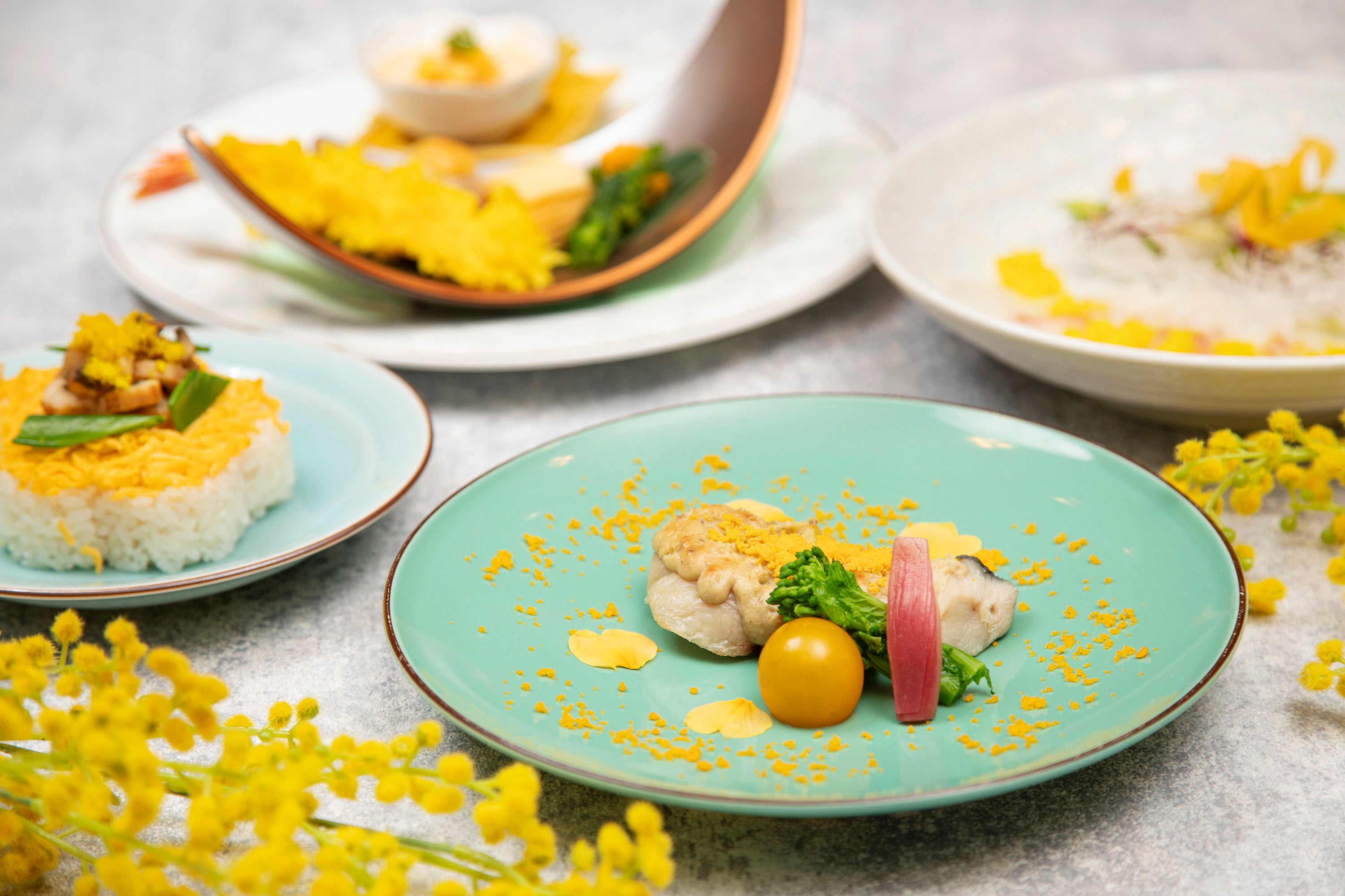 Shimizu Komachi～きいろ花～