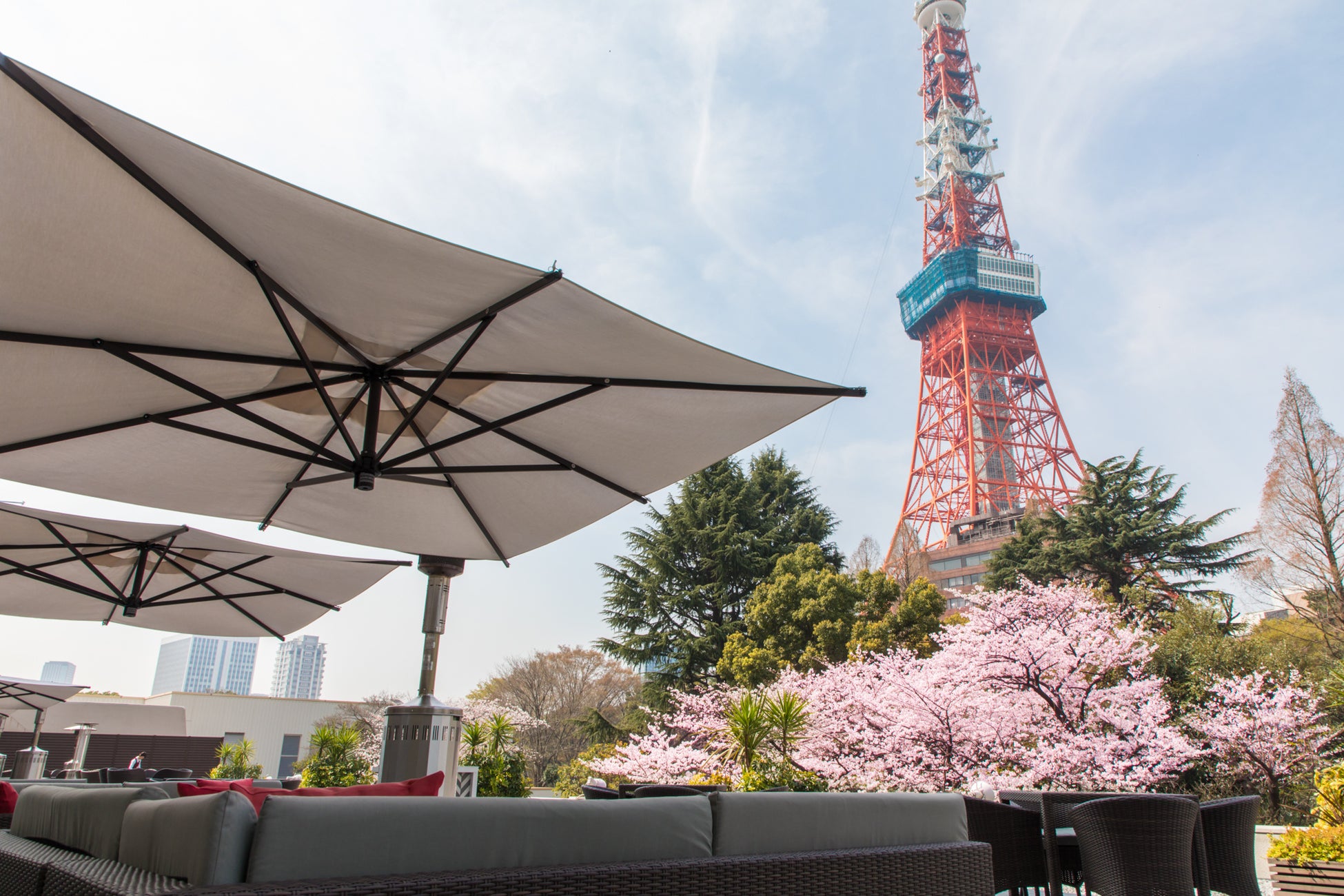 オープンエアなテラスレストラン等で楽しむ春の風物詩 桜まつり 22 を開催 東京 プリンスホテル 株式会社西武 プリンスホテルズワールドワイドのプレスリリース オープンエアなテラスレストラン等で楽しむ春の風物詩 桜まつり 22 を開催 東京 プリンスホテル 株式会社西武 プリンスホテルズワールドワイドのプレスリリース