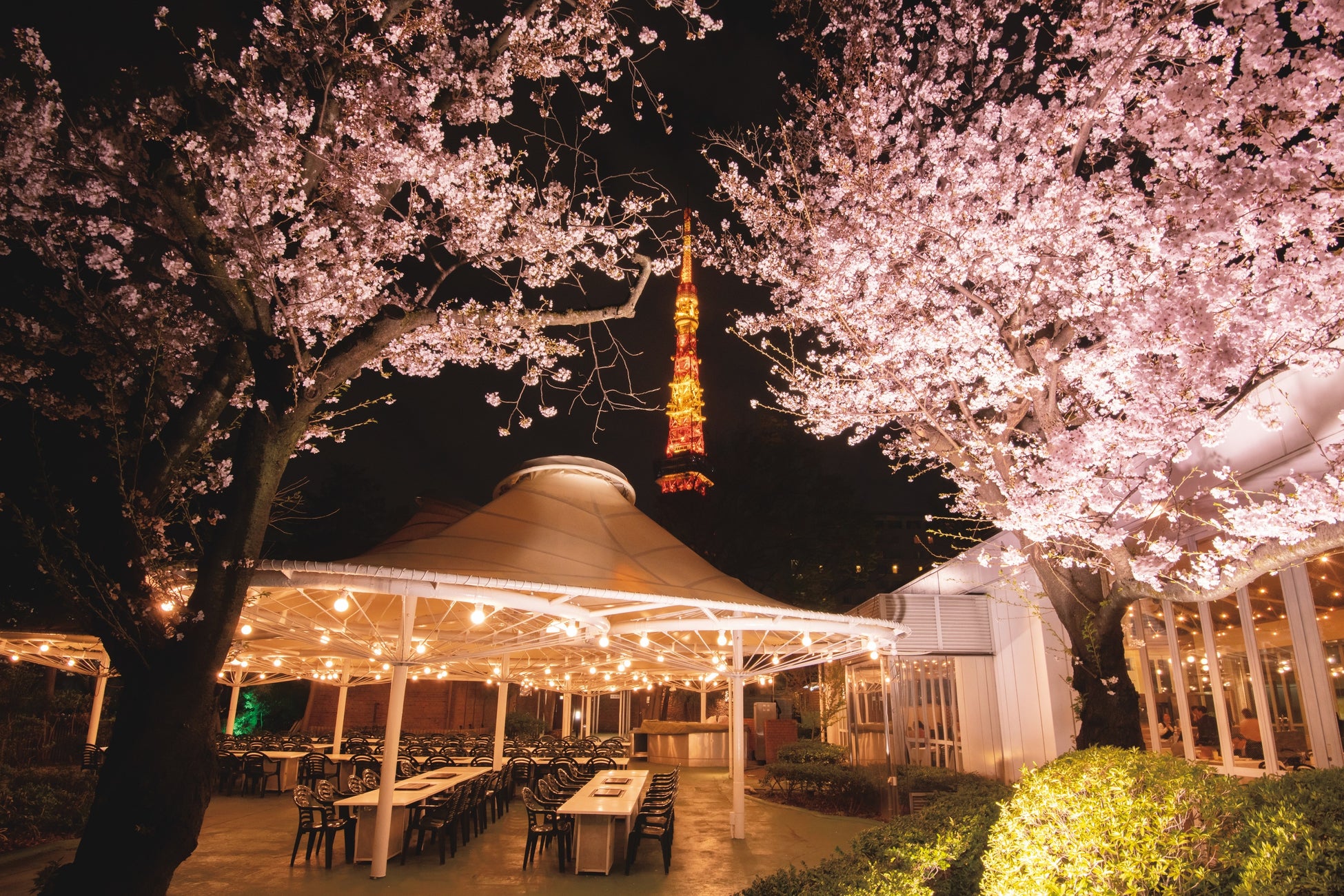 オープンエアなテラスレストラン等で楽しむ春の風物詩 桜まつり 22 を開催 東京 プリンスホテル 株式会社西武 プリンスホテルズワールドワイドのプレスリリース オープンエアなテラスレストラン等で楽しむ春の風物詩 桜まつり 22 を開催 東京 プリンスホテル 株式会社西武 プリンスホテルズワールドワイドのプレスリリース