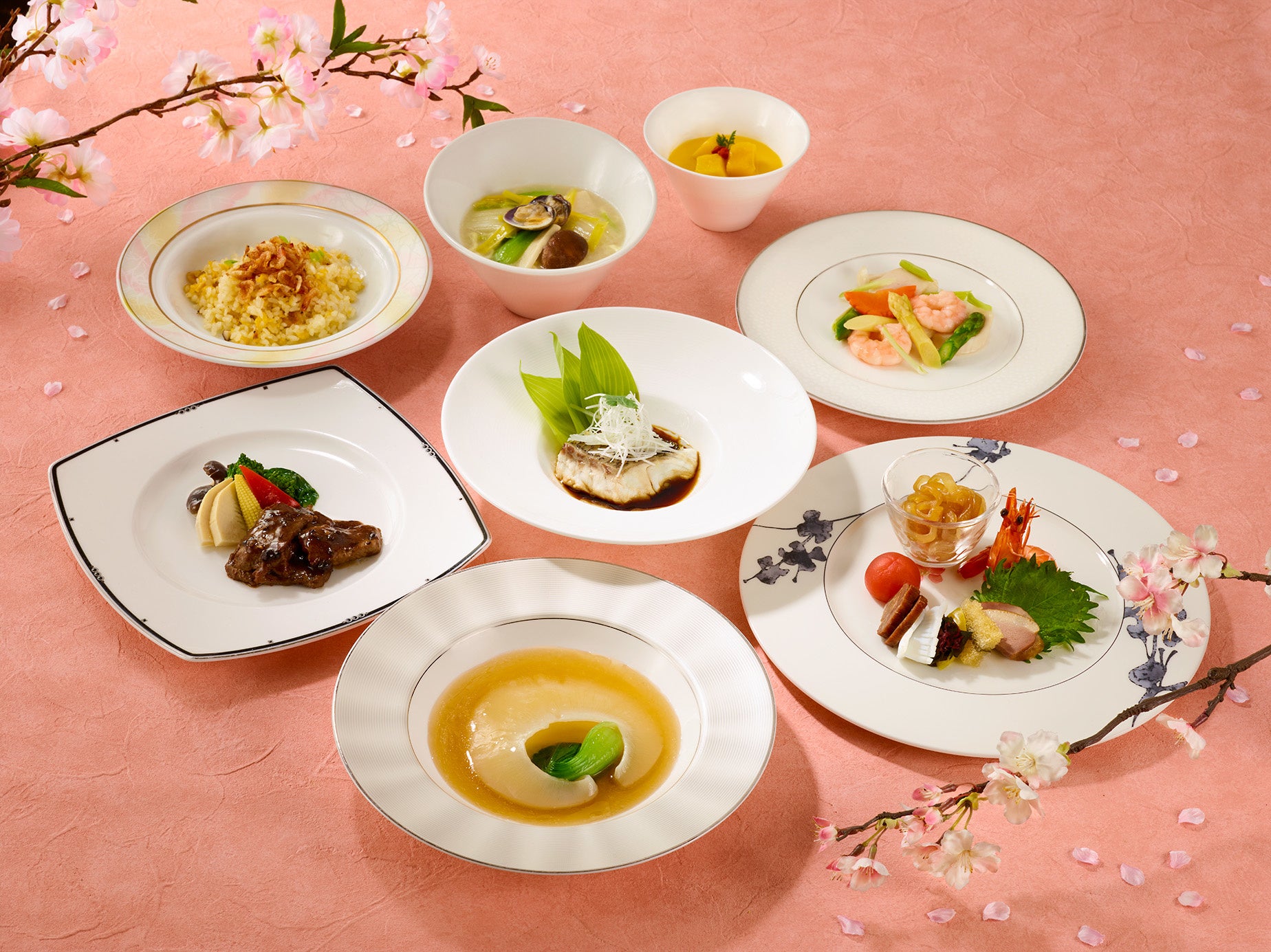 桜花採譜 イメージ