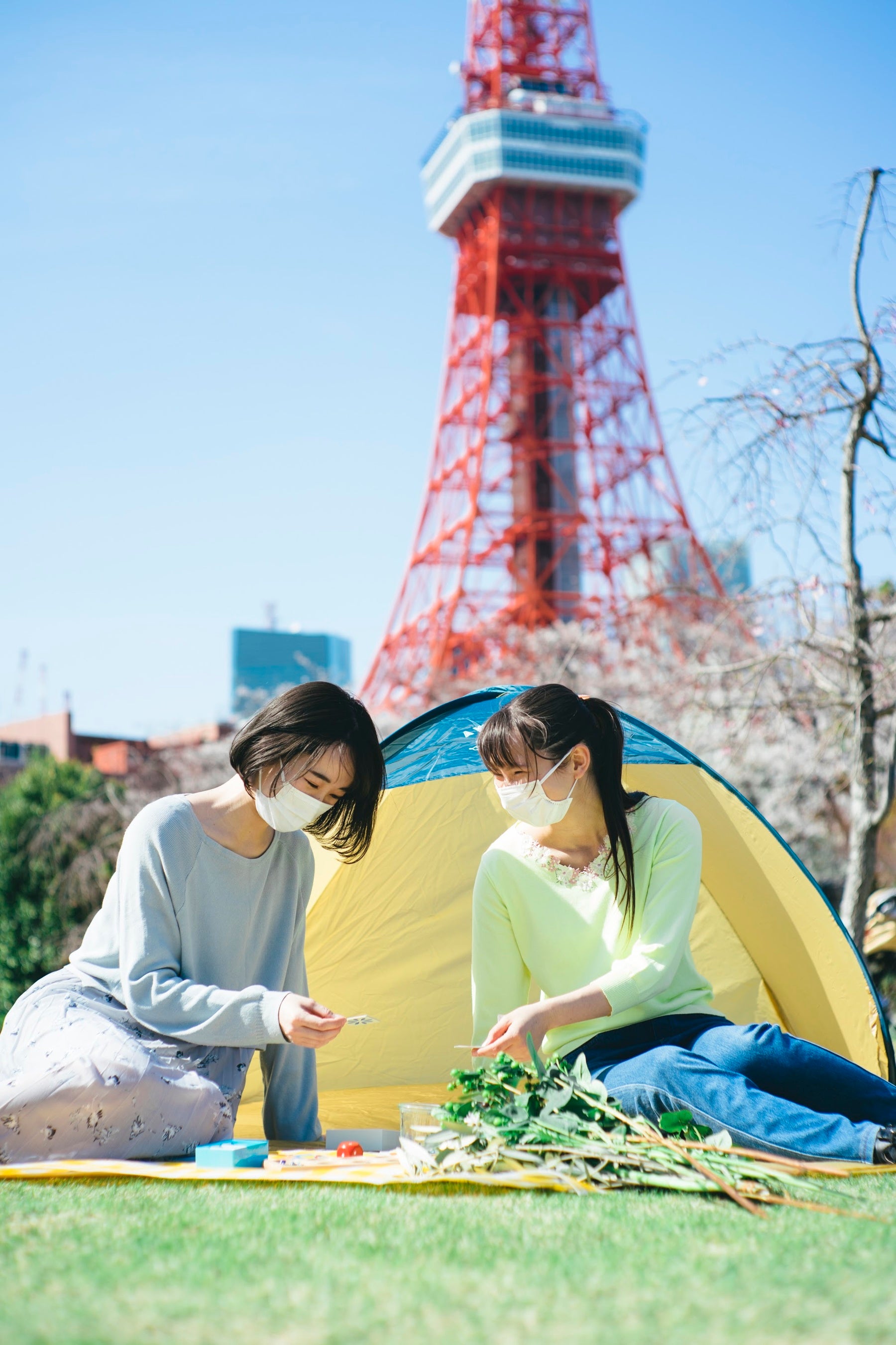 ピクニック イメージ