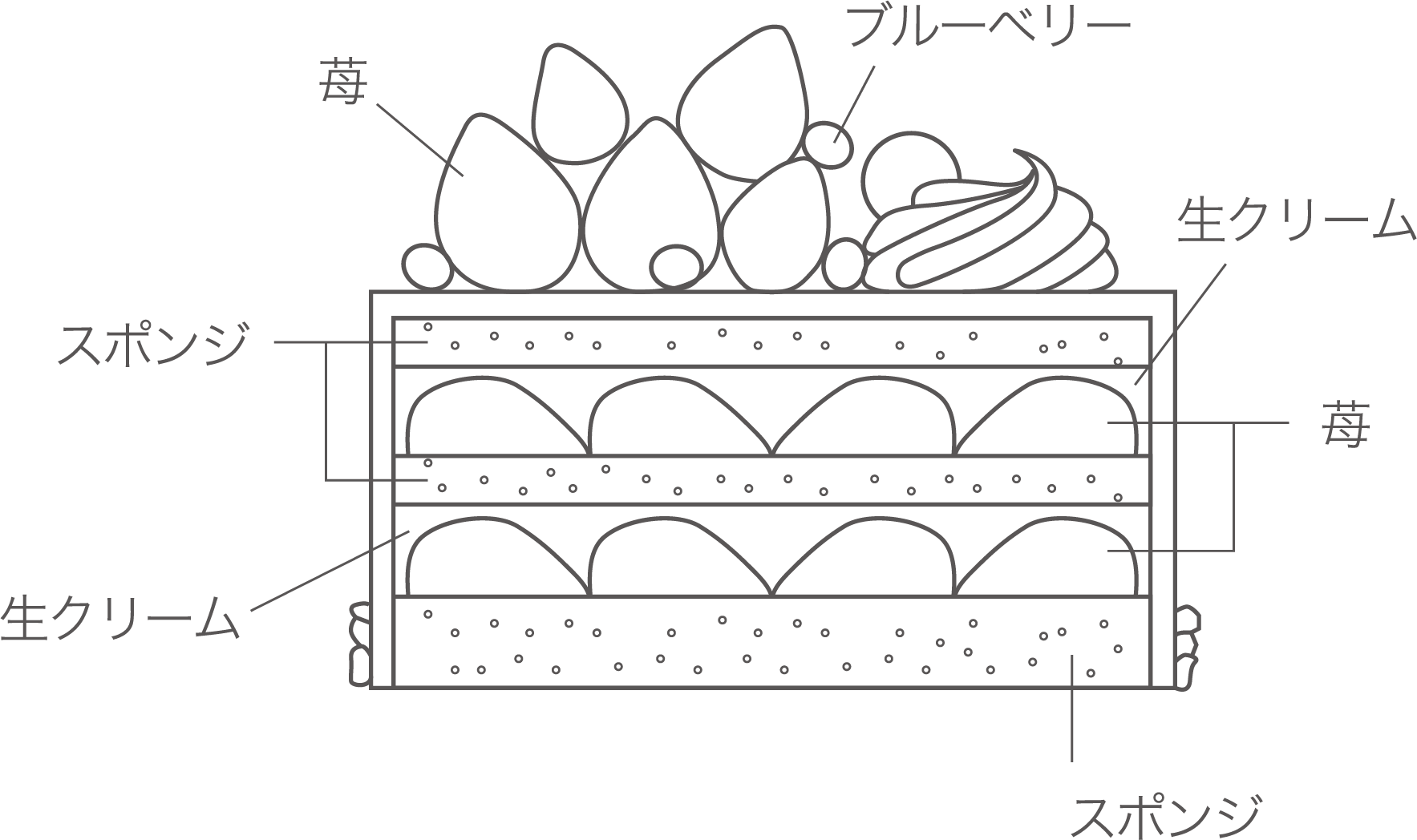スノービューティー 断面図