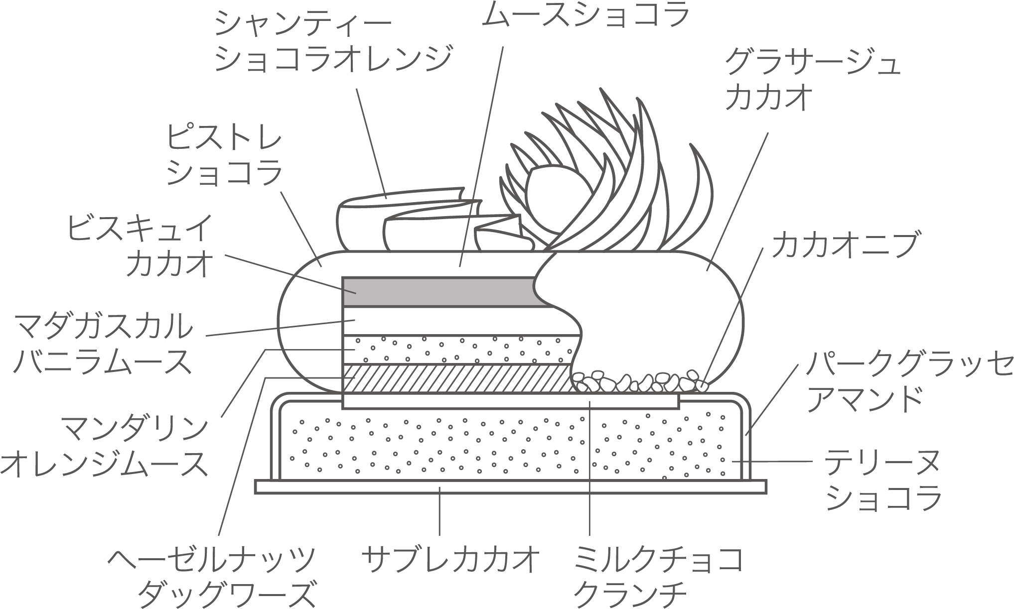 ヴィエンヌ 断面図