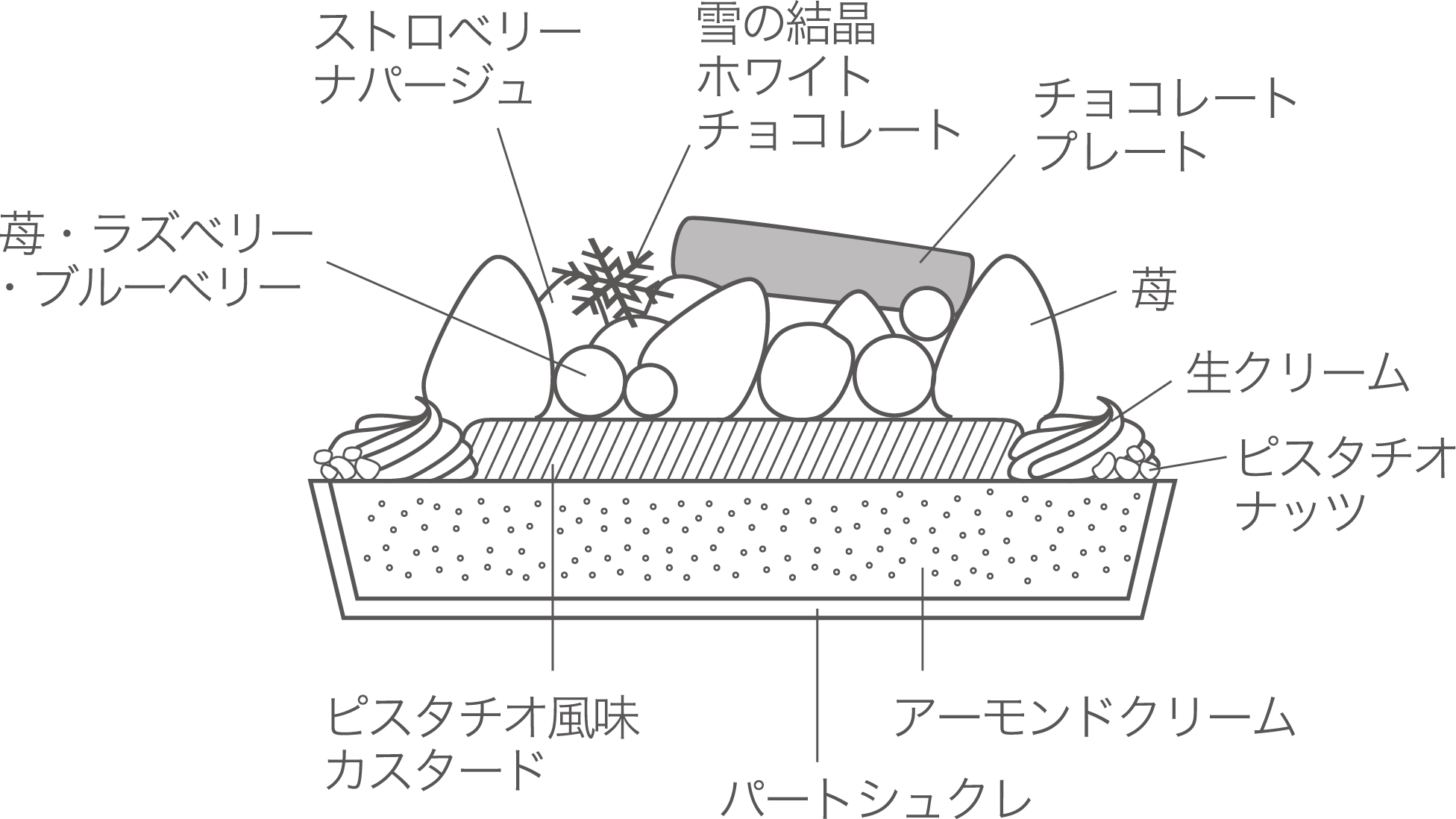 タルトリース 断面図