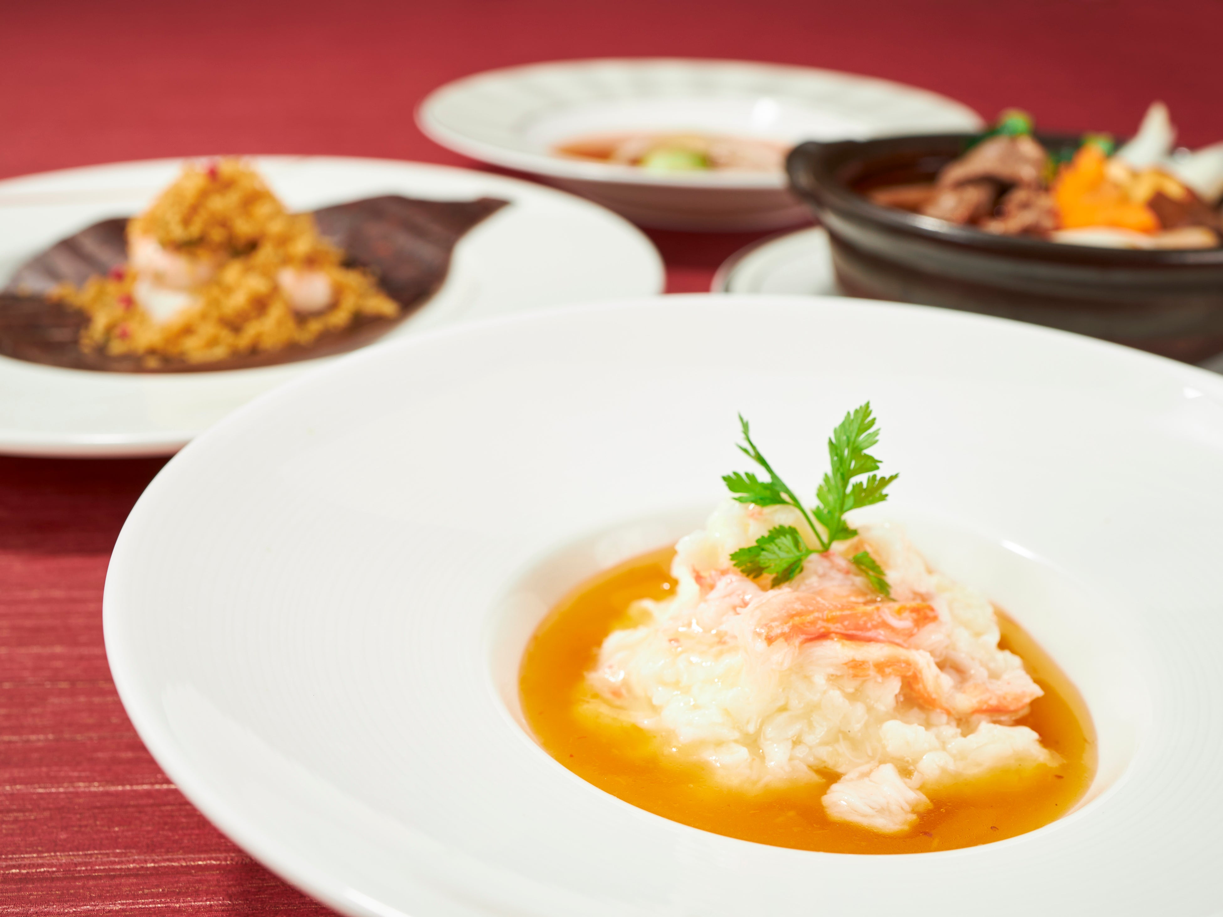 飛騨高山グルメコース（中国料理 満桜日園）イメージ