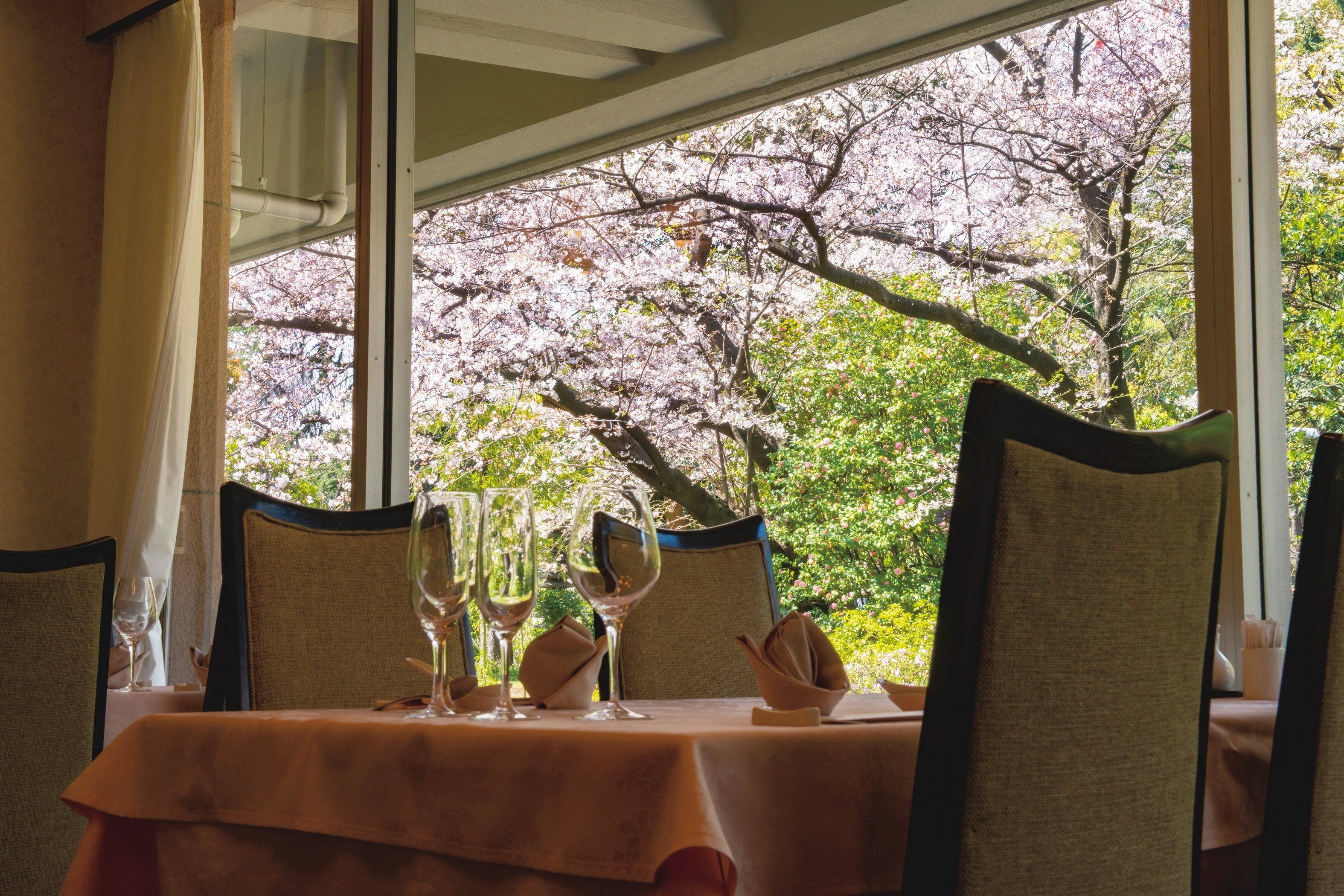 中国料理 満楼日園 店内イメージ