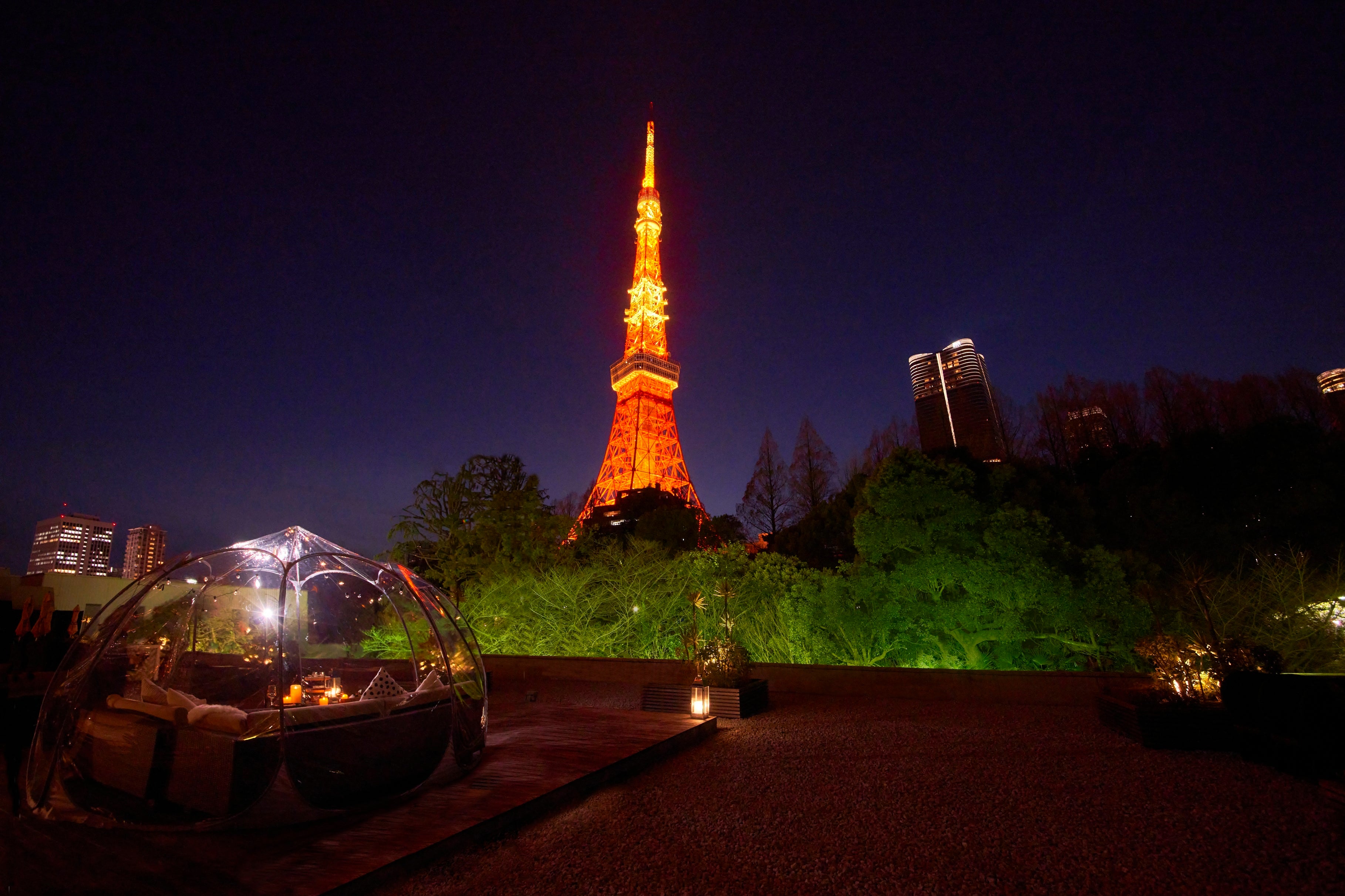 東京タワーのライトアップとともに