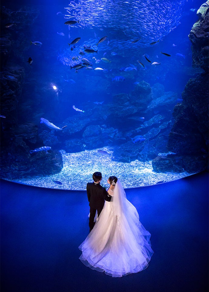 リーガロイヤルホテル京都　京都水族館 挙式プラン「Night Aquarium Wedding～夜の水族館で愛を誓う～」