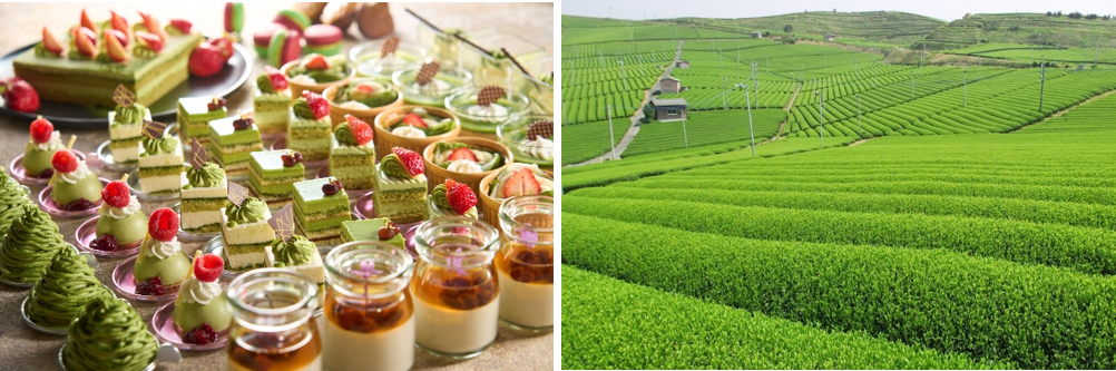 （左）「オールデイダイニング リートス」スイーツイメージ（右）茶畑イメージ