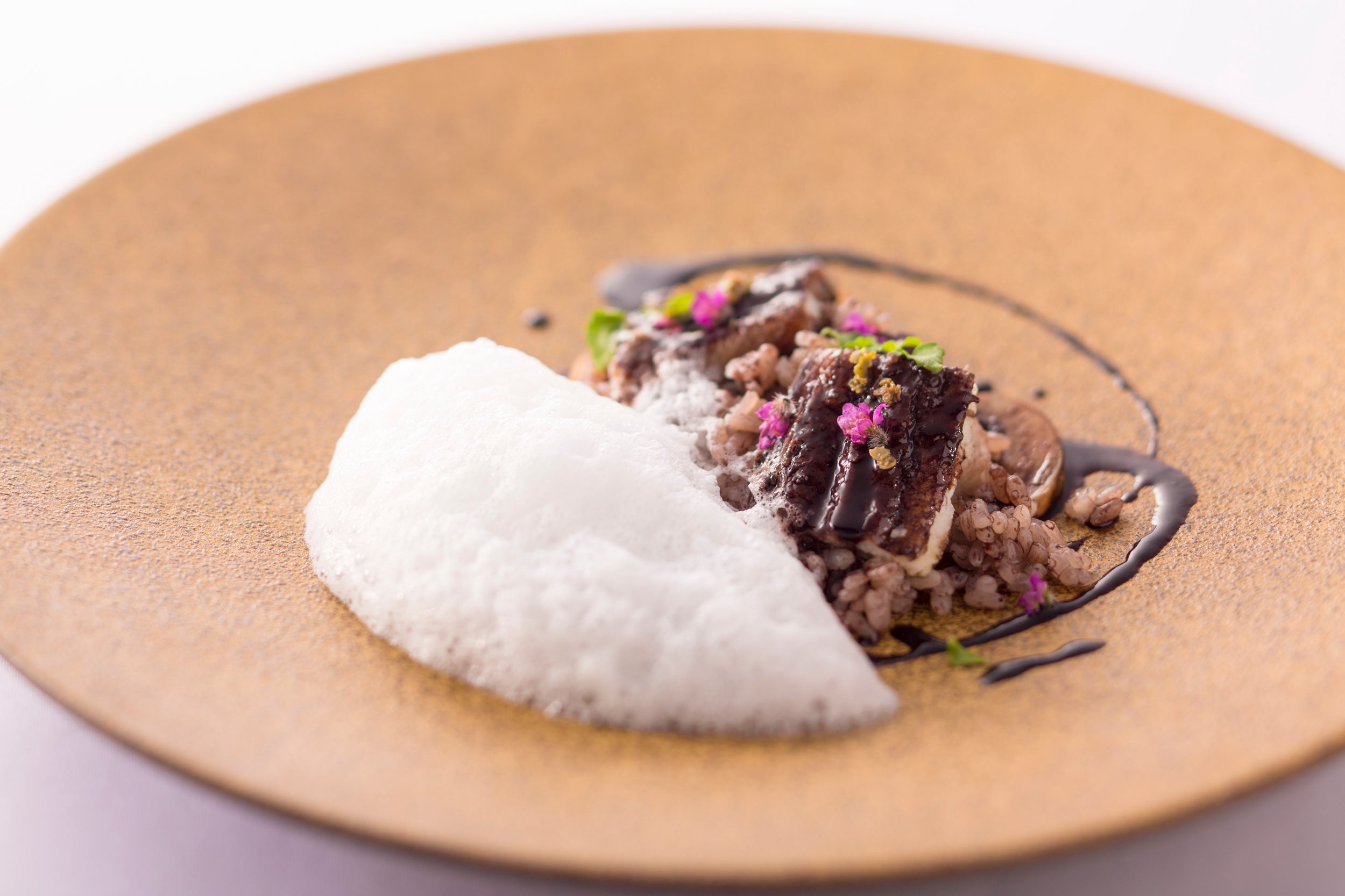 シェフ寺田 就任記念ランチ「穴子の赤ワイン煮とリゾット 緑胡椒のアクセント」イメージ