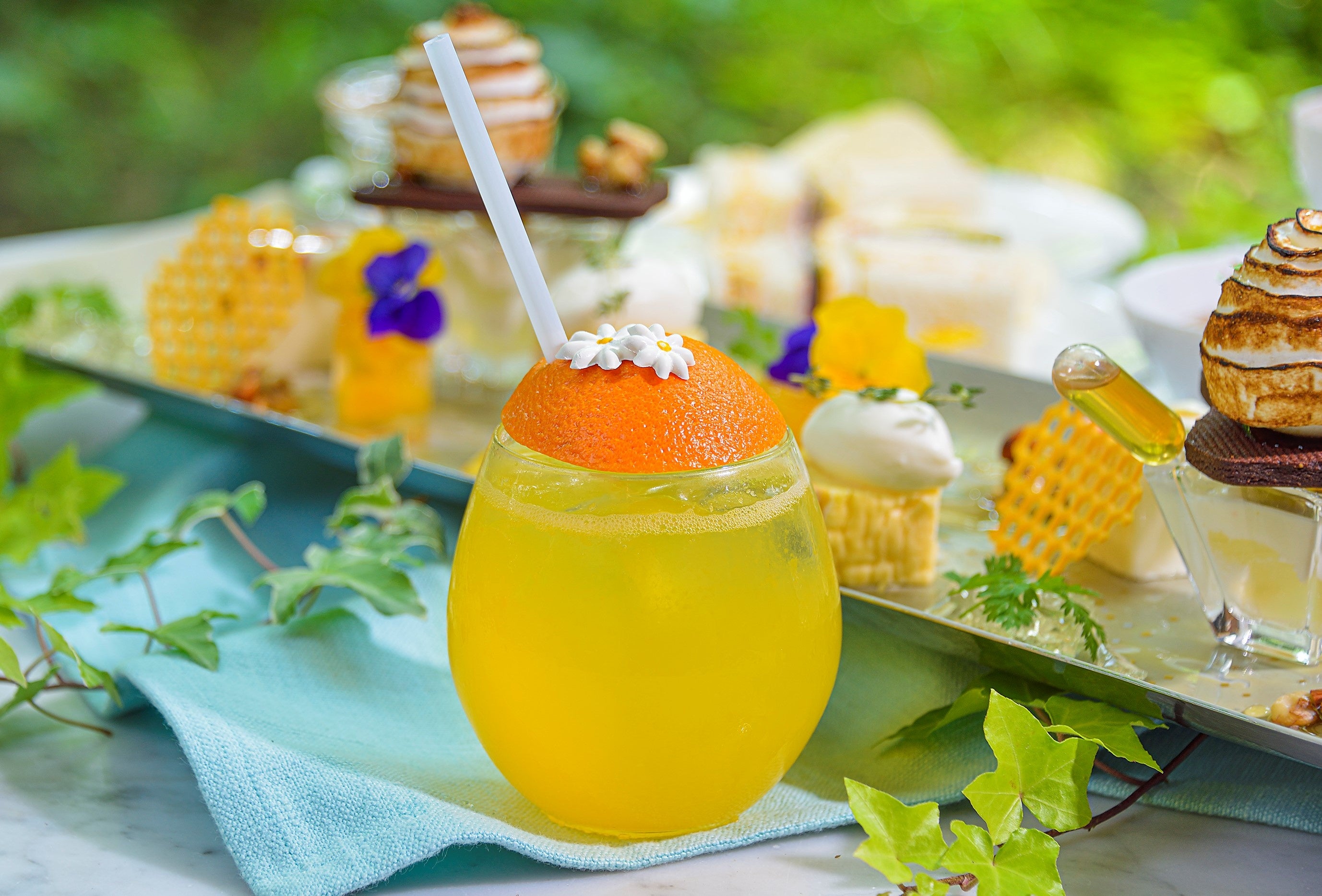 「CITRUS CONNECTION(シトラス・コネクション)」