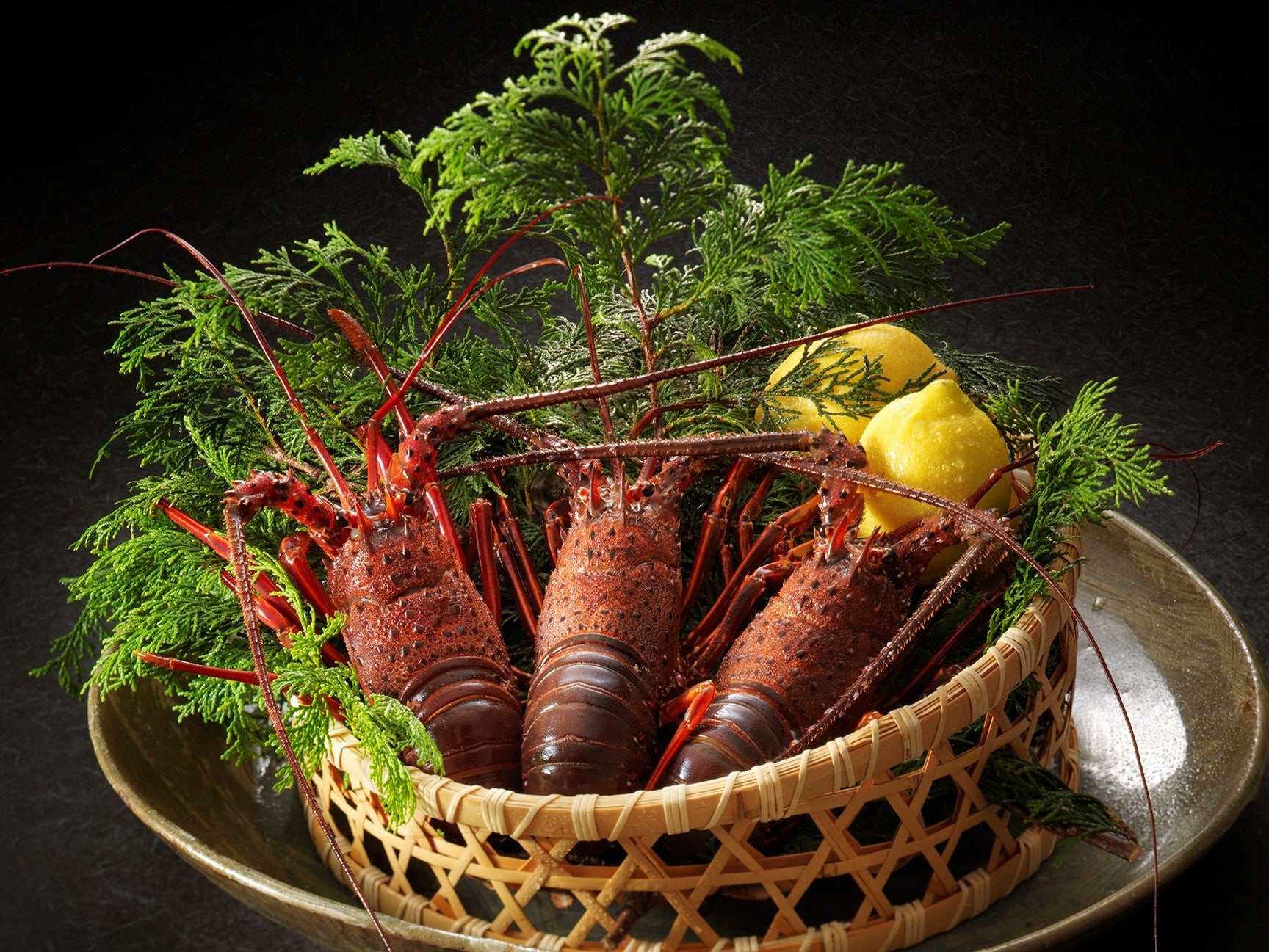 「イセエビ」使用食材イメージ