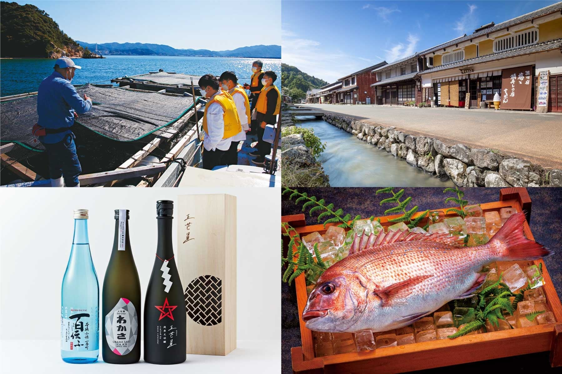 写真提供　福井県