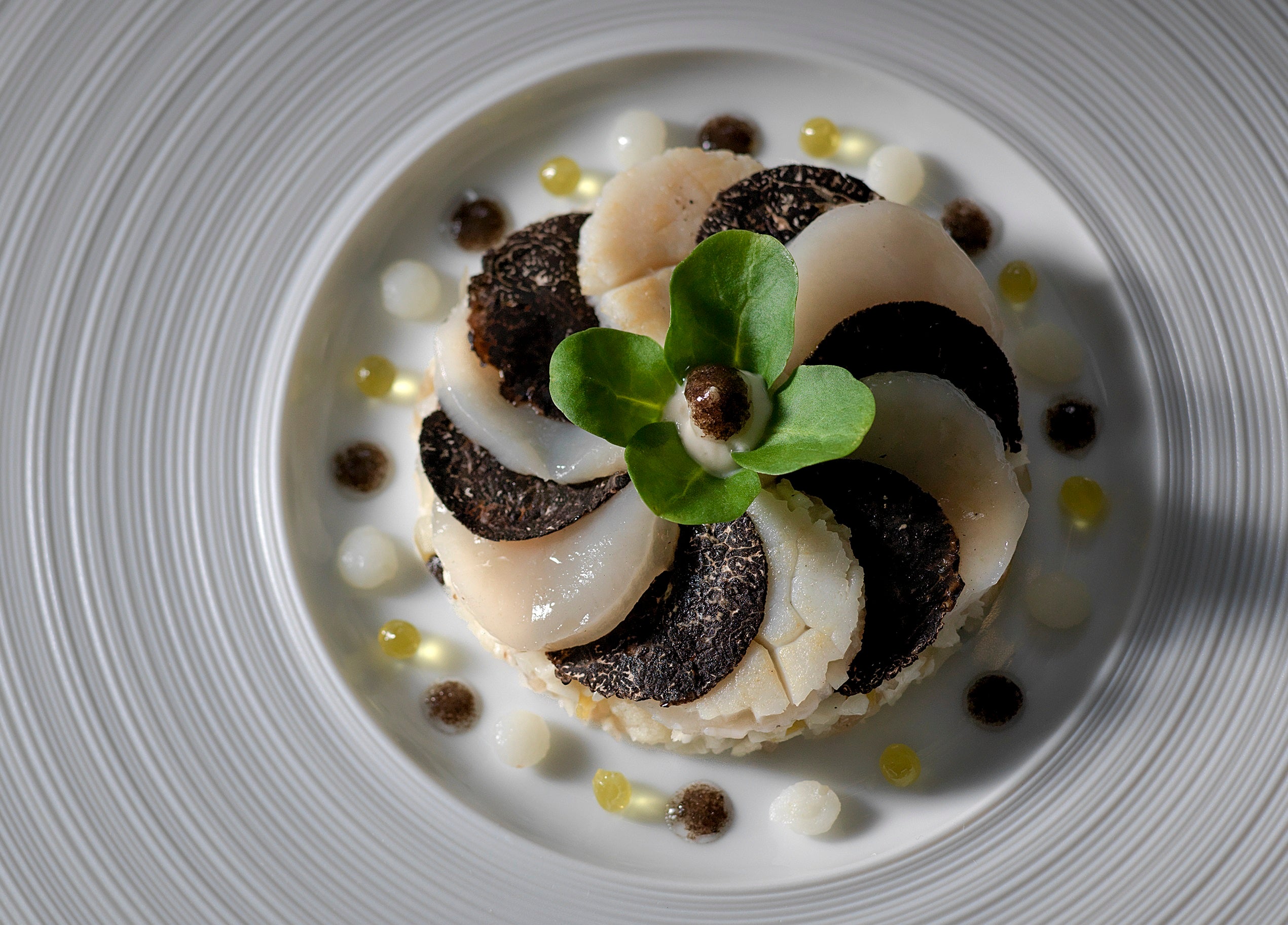 北海道産帆立貝と黒トリュフのモザイク仕立て カリフラワーとポロネギのタブレとともに