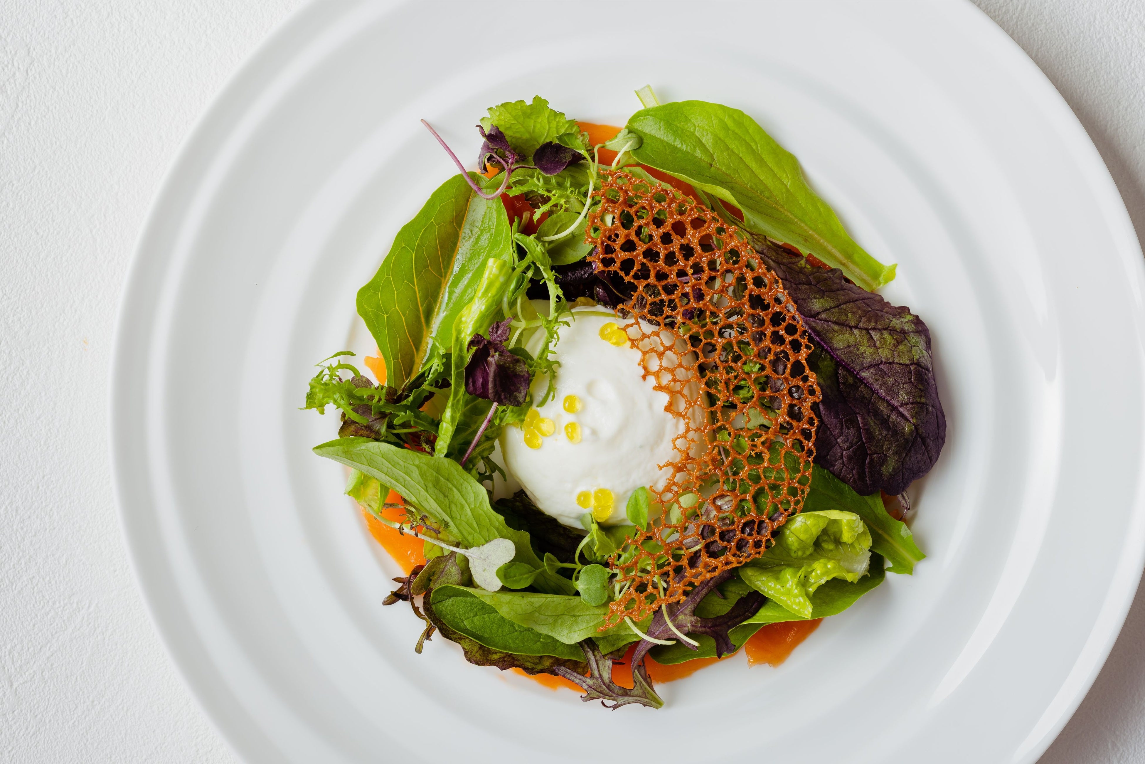 エスプーマになったパルメザンチーズ 生ハムのように仕上げた広島レモンサーモン “シーザーサラダ”（イメージ）