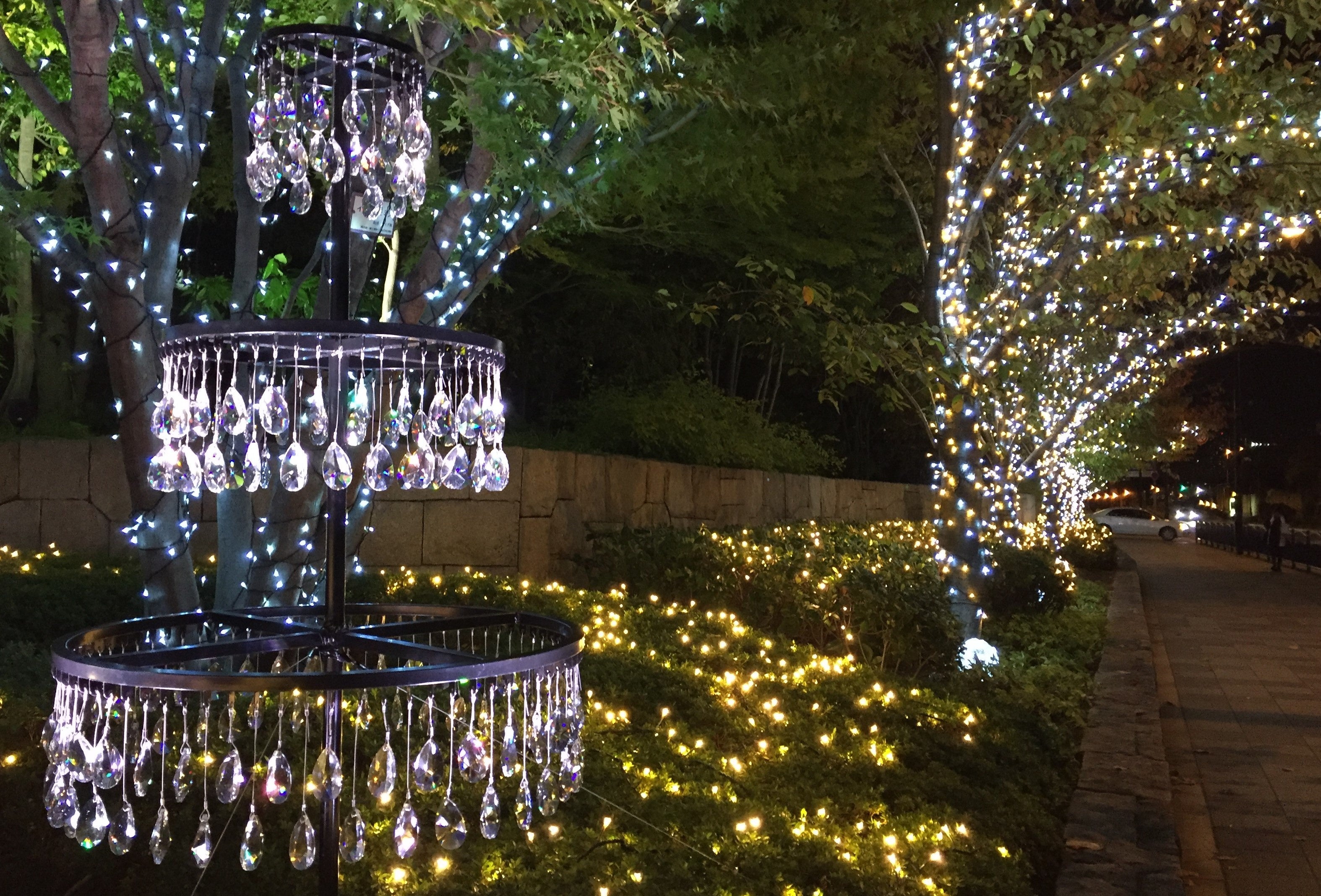 道路沿いの樹木の装飾