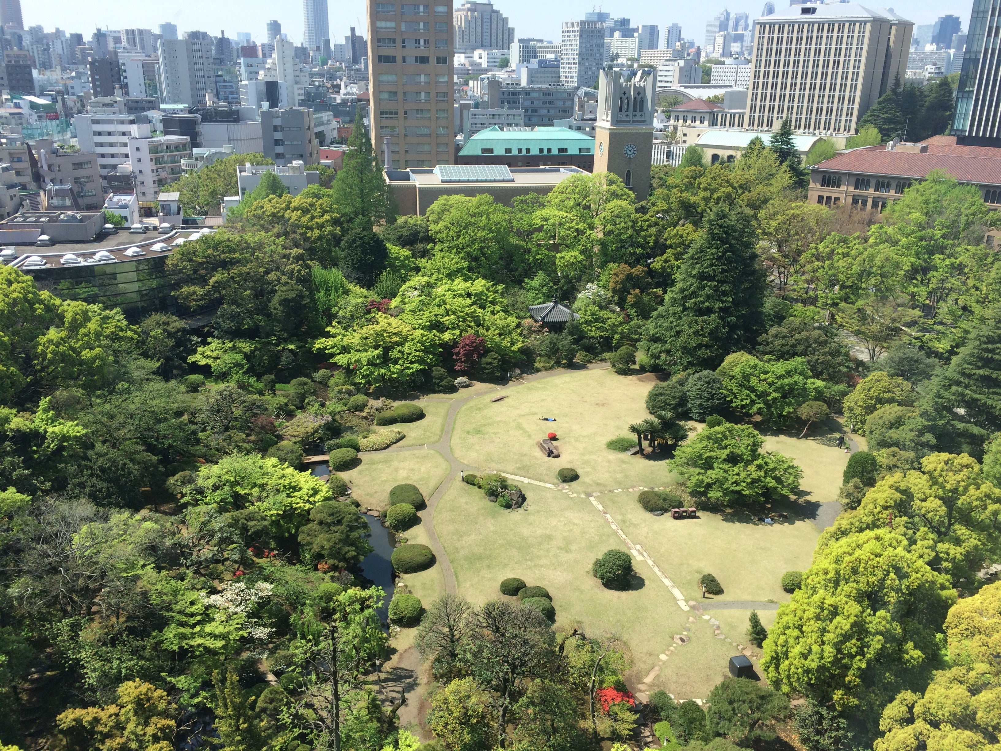 ジュニアスイートからの眺望