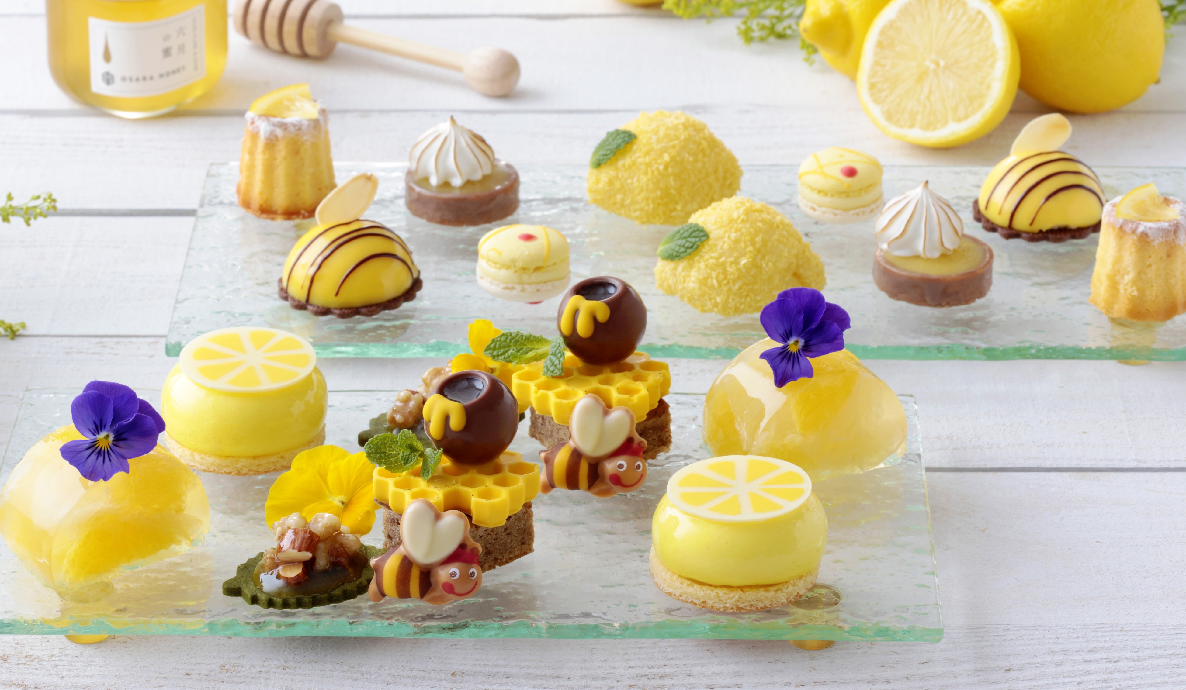 ＜手前：上段・奥：中段＞