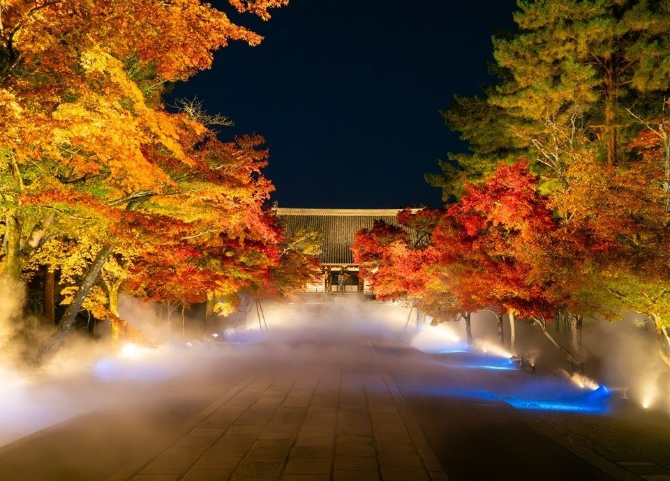 【リーガロイヤルホテル京都】仁和寺 「紅葉雲海ライトアップ」 拝観付ステイプラン 販売