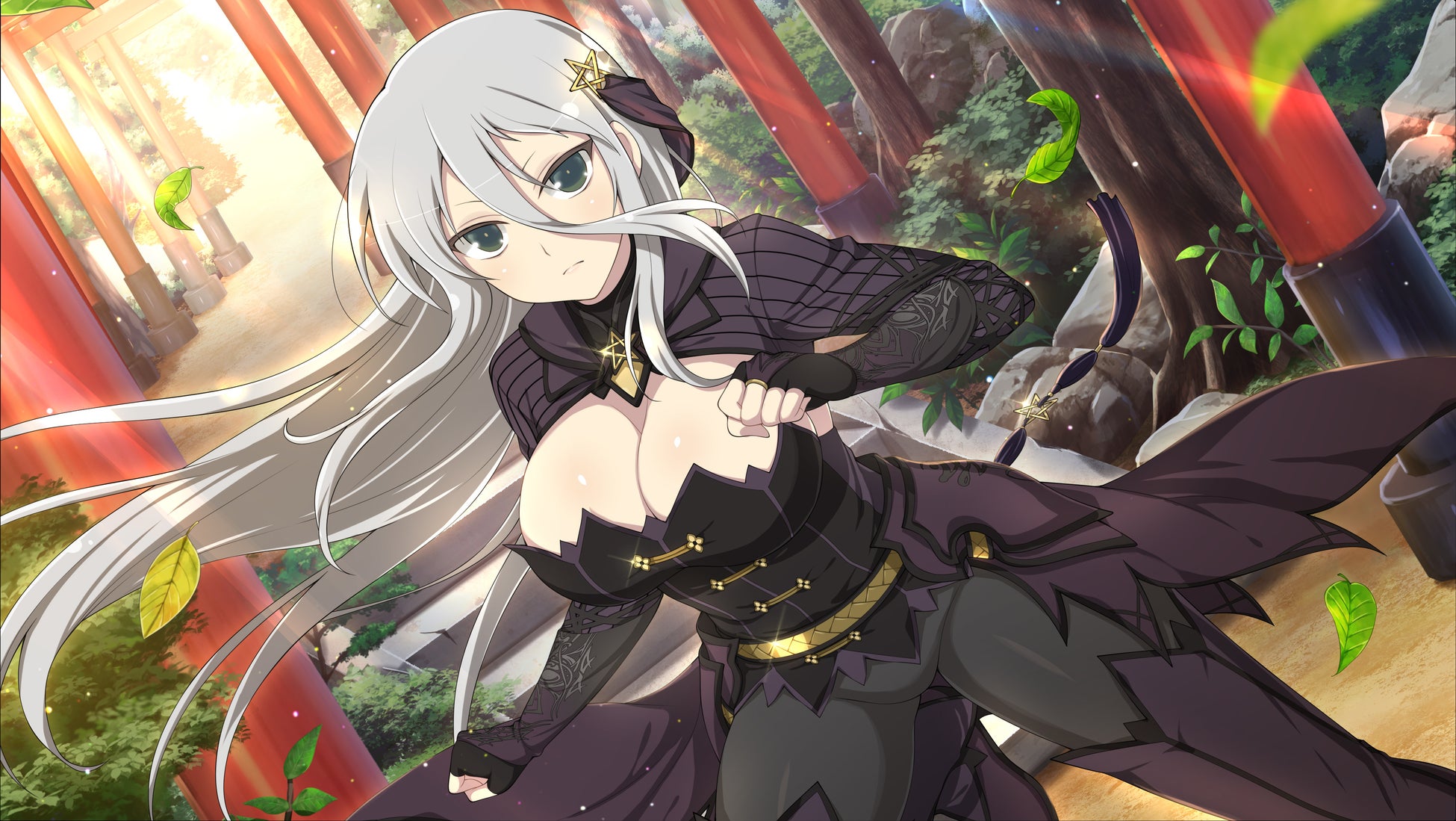 <閃乱覚醒前>【SSR 閃光(閃光忍装束)】